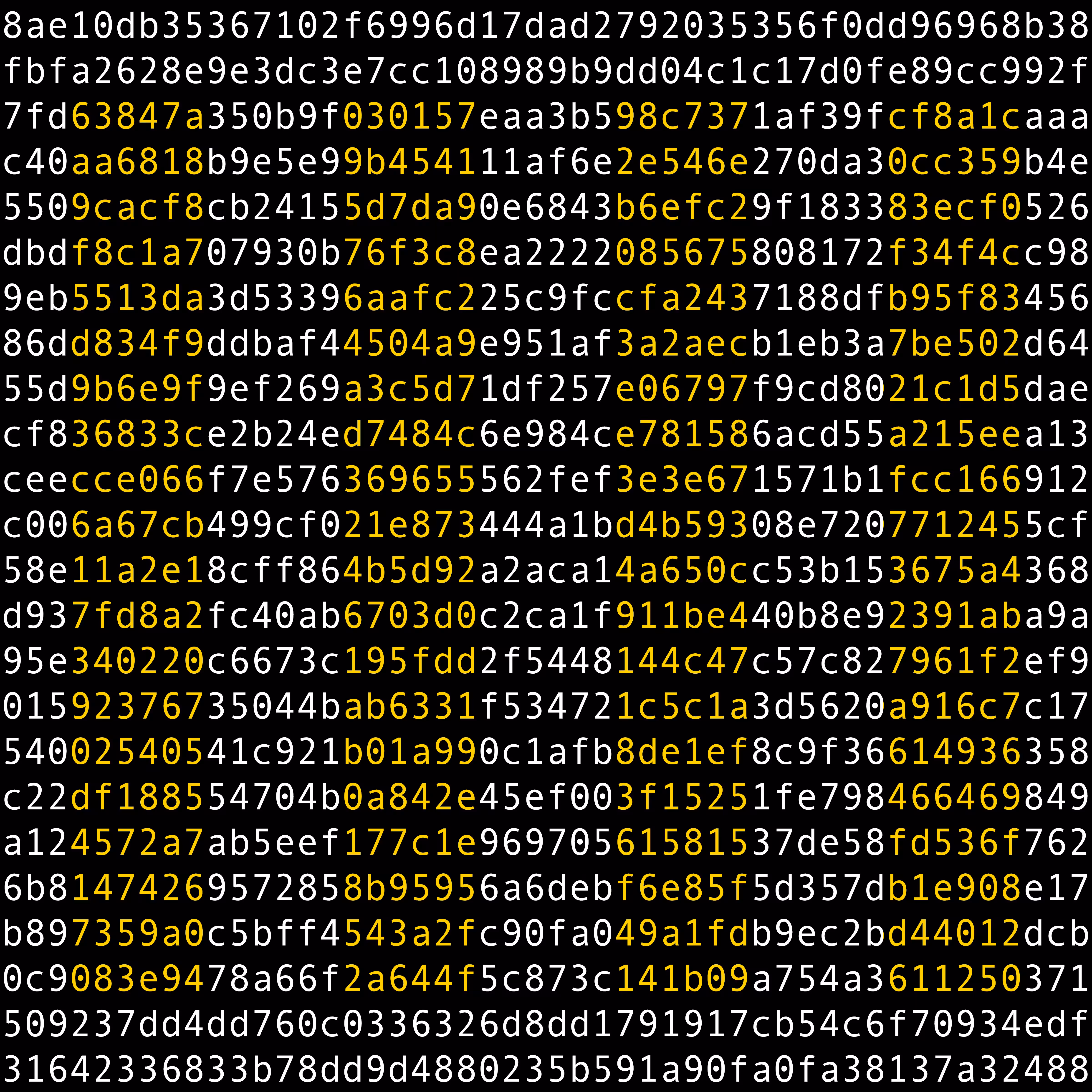 1111 #0229
