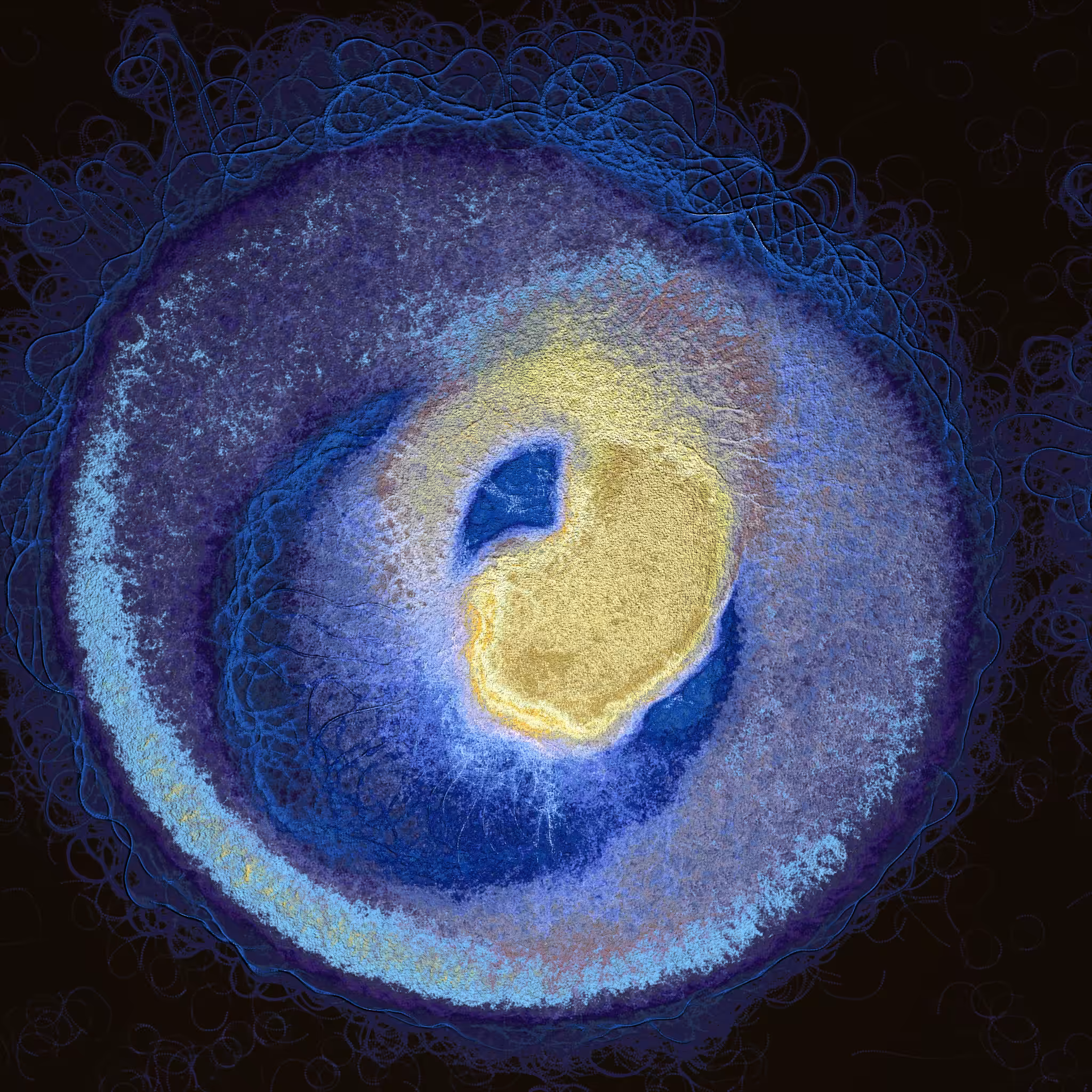 coalescence #124