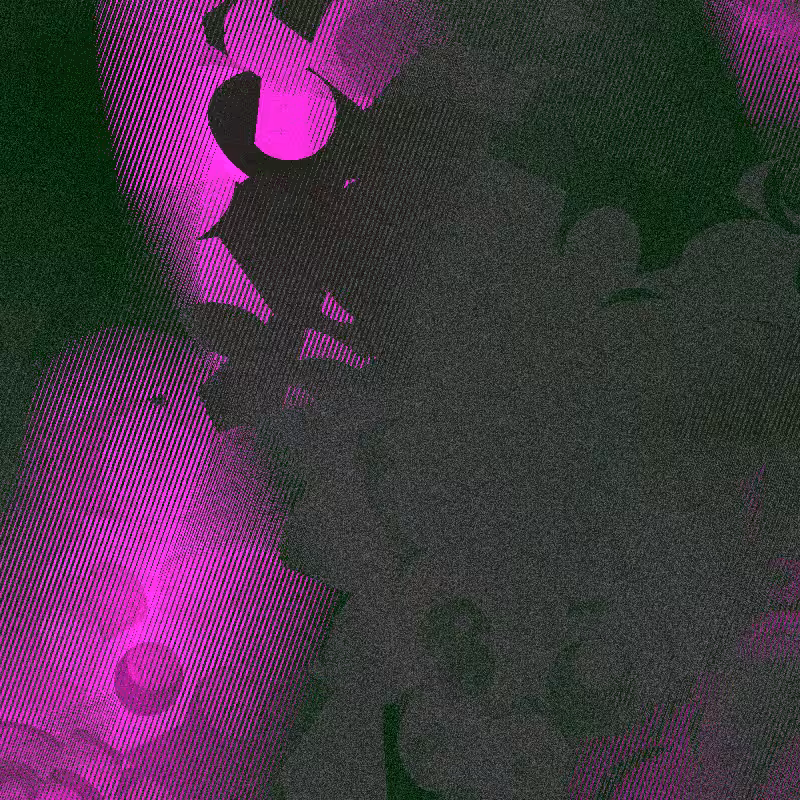 anomalia.12 #36
