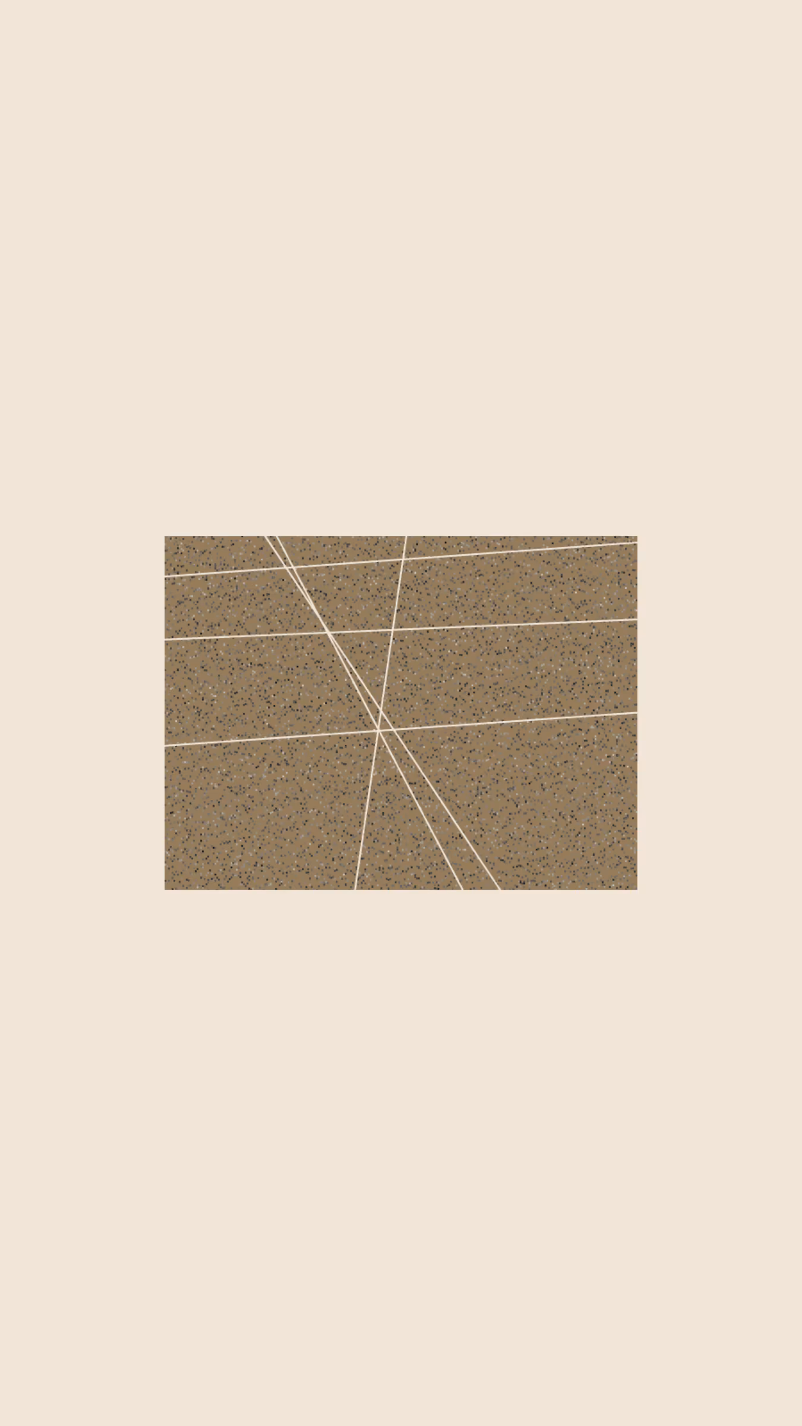 wt 006