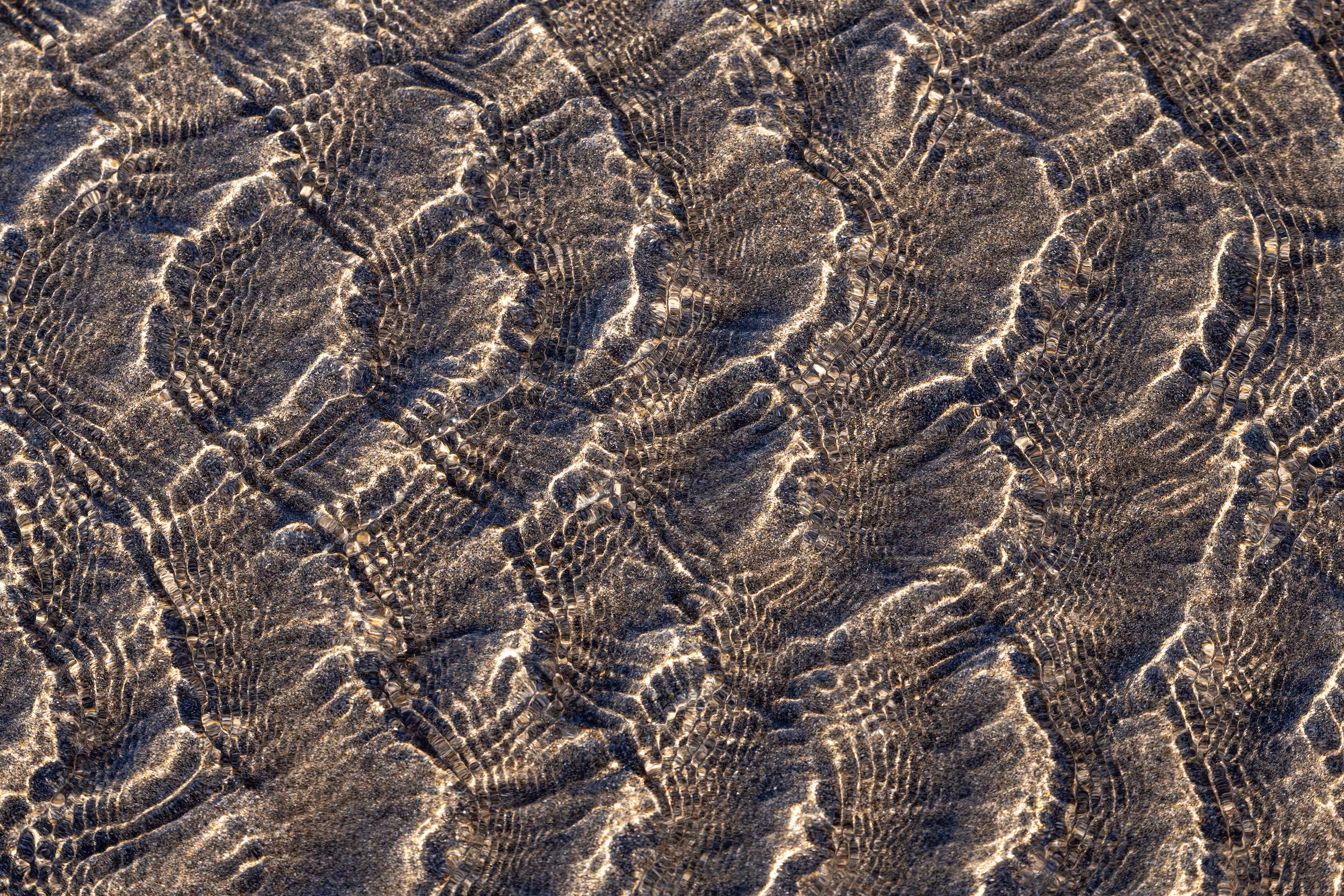 Ebb and Flow #90