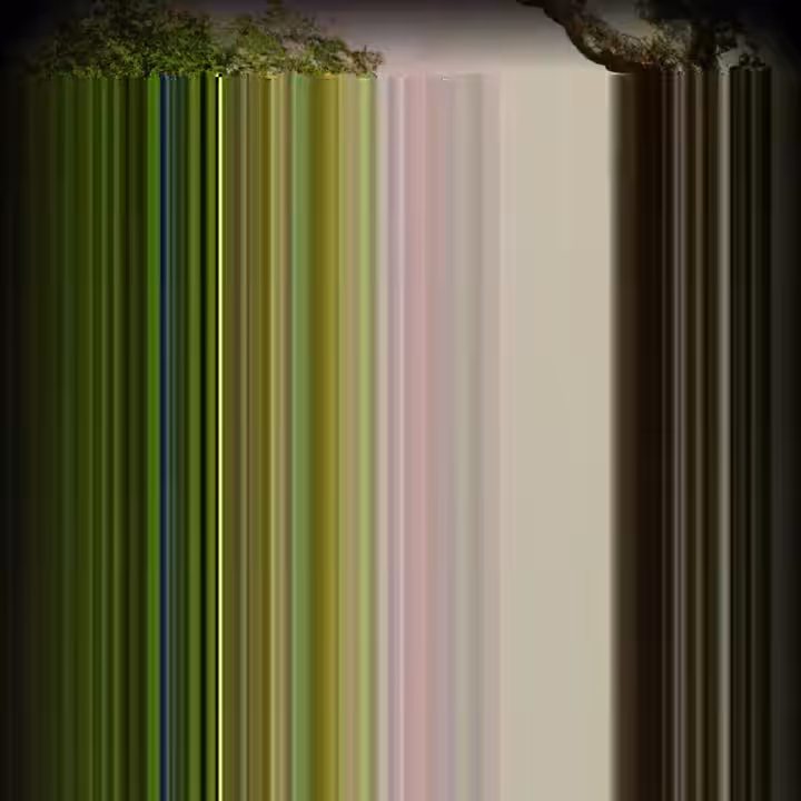 𝘝𝘐 Remix : 𝘎𝘳𝘰𝘸𝘵𝘩 𝘰𝘧 𝘵𝘩𝘦 𝘎𝘭𝘪𝘵𝘤𝘩