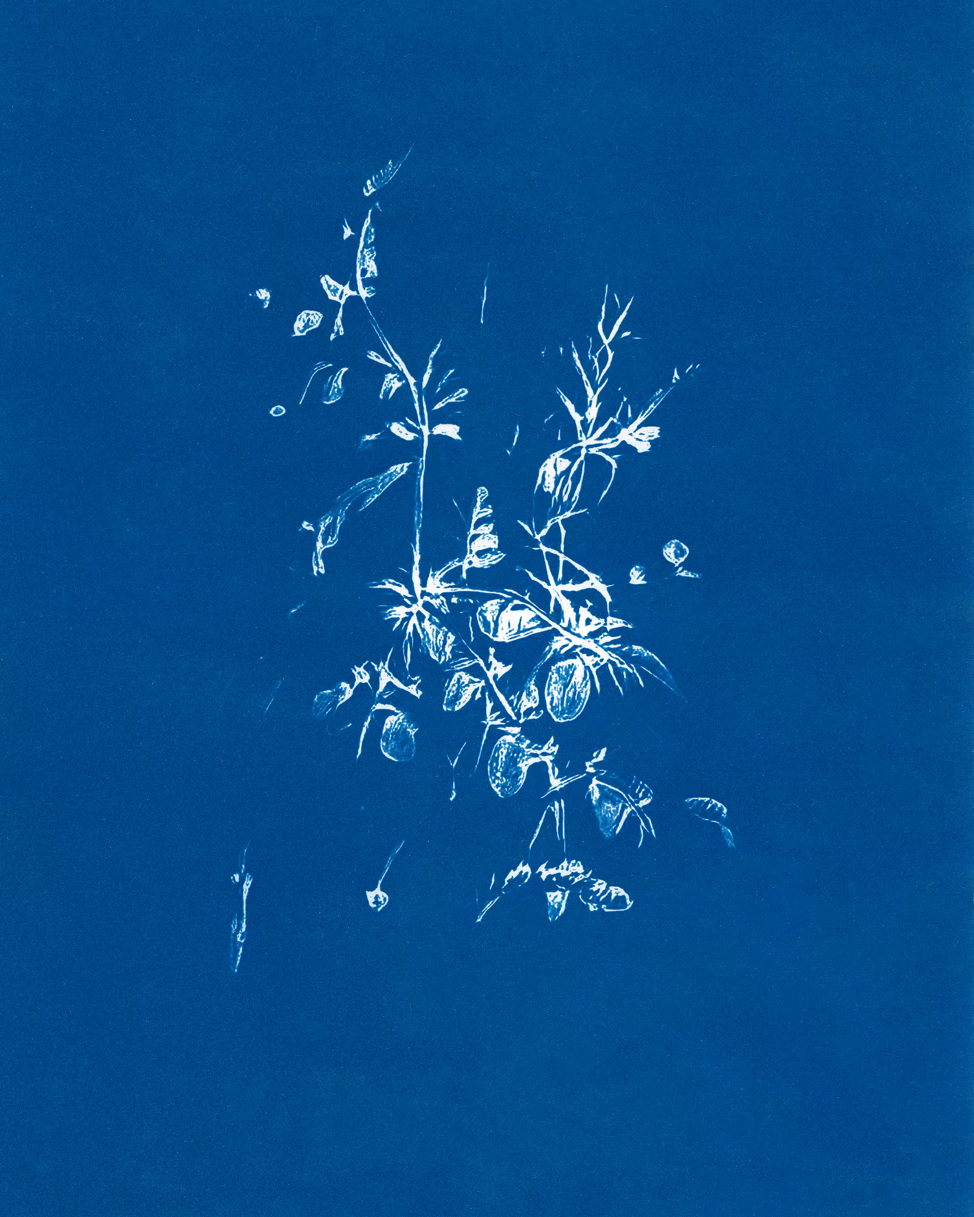In Translation #25 by Claudia Pawlak