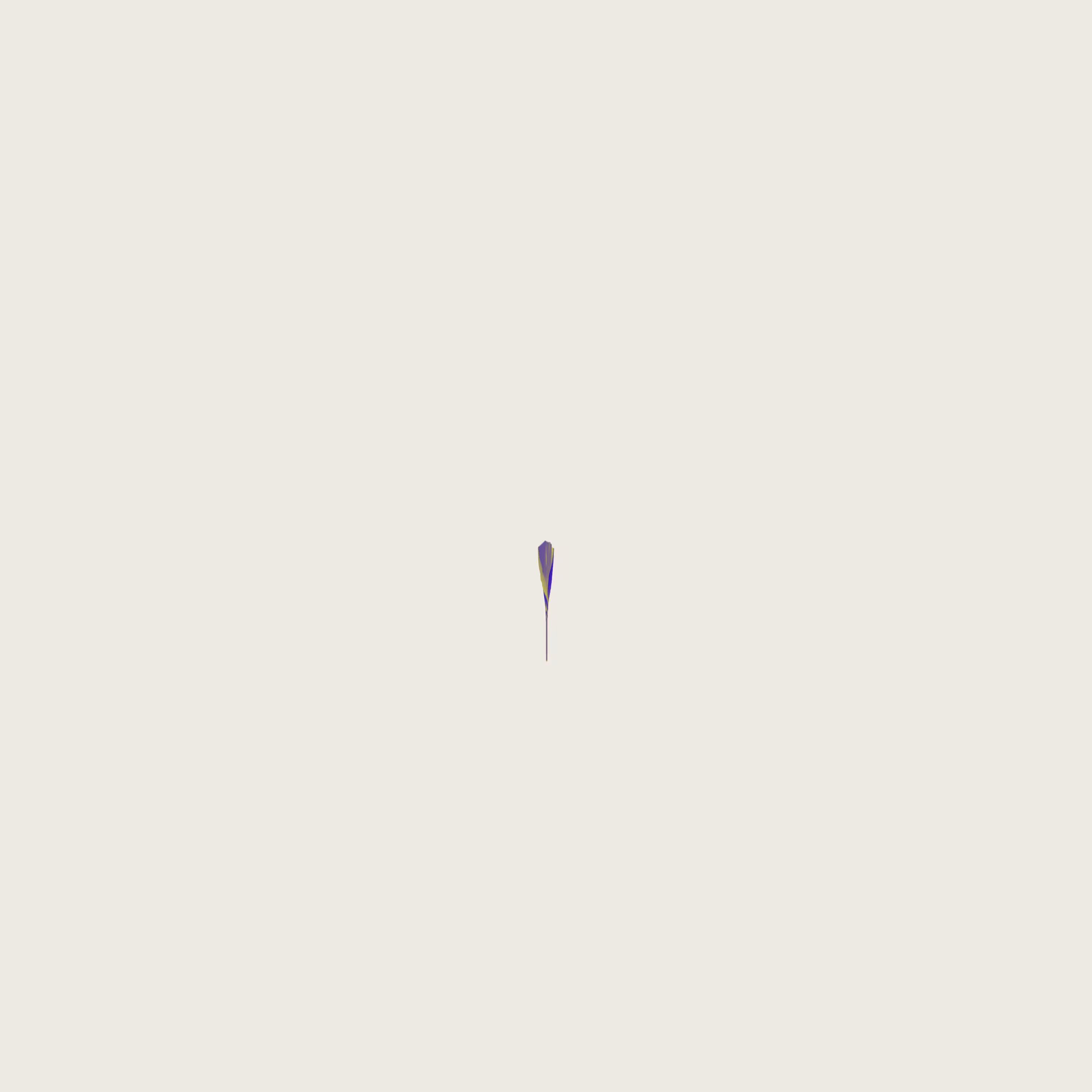 The Nail 