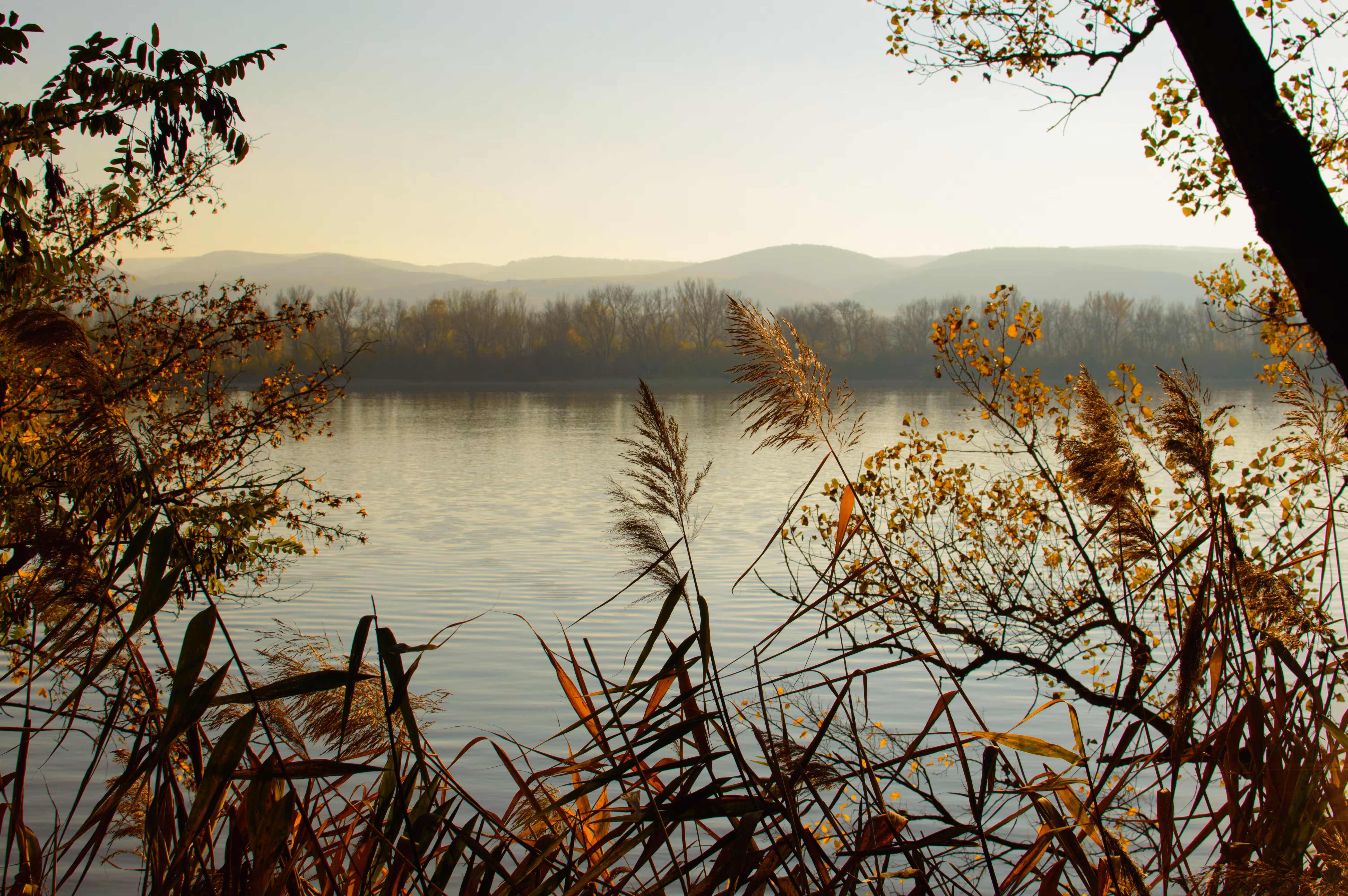 Living by the Danube - Autumn