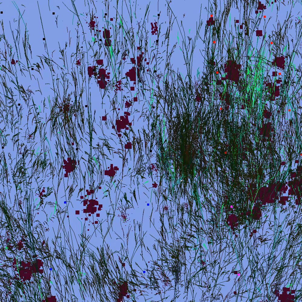 Infinite Garden: 35666 Flowers