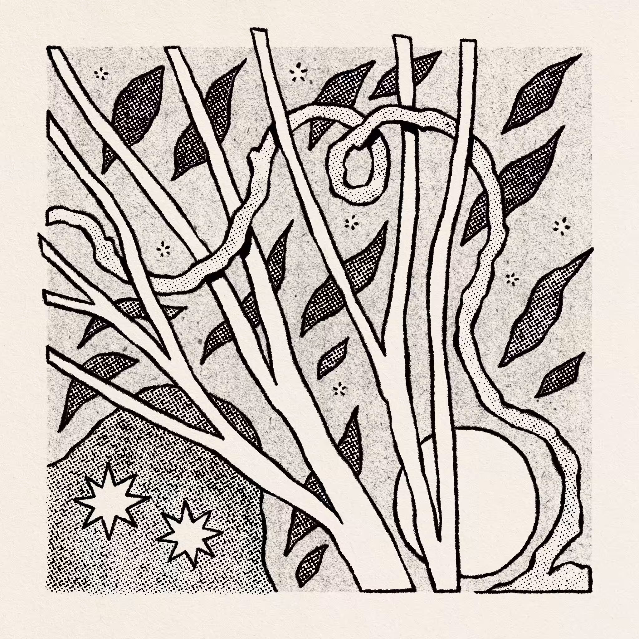 Energy Sketch #31