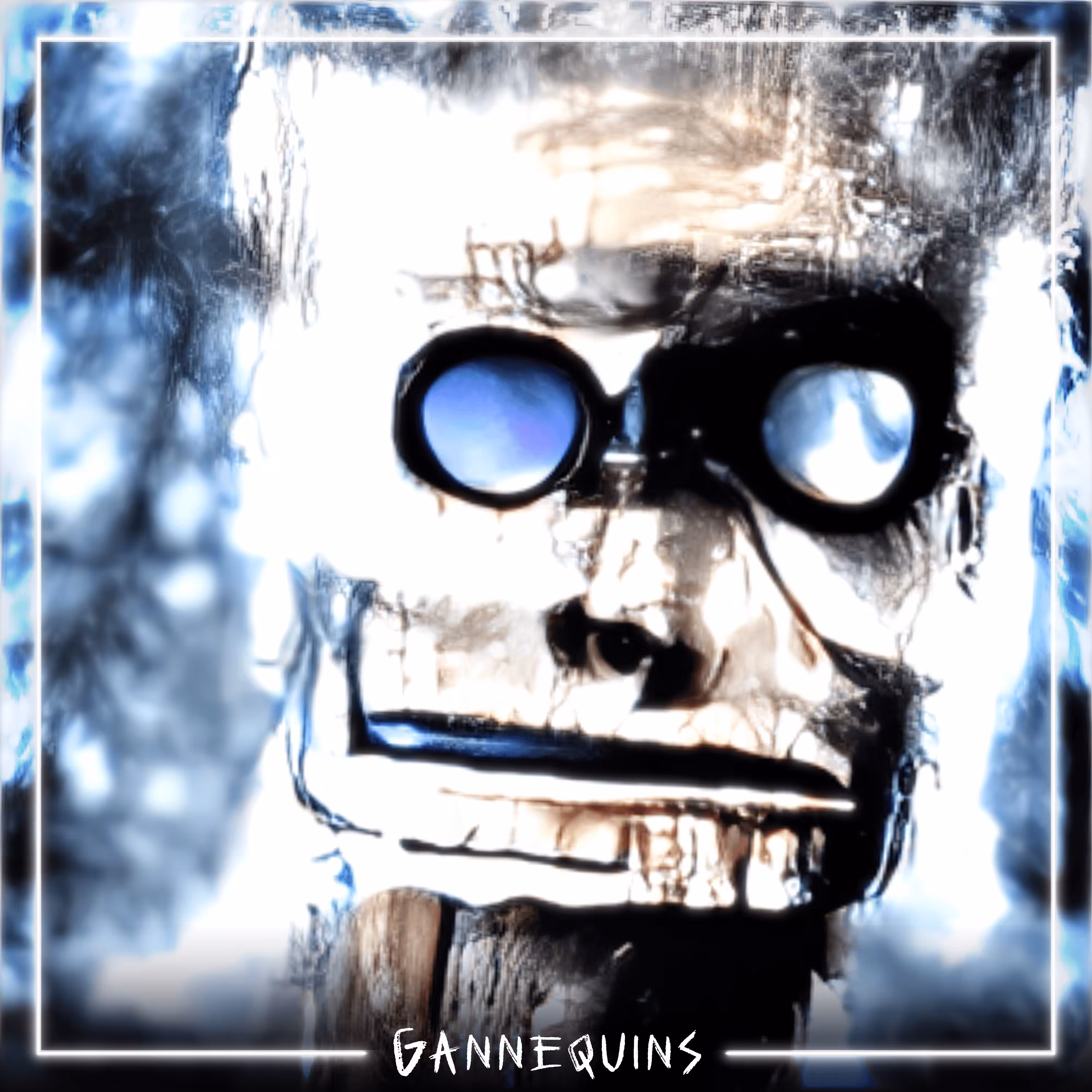 GANNEQUIN 76