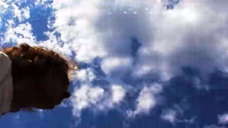 Weekly Beats 2014: theDawn