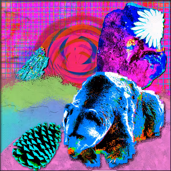 Saccharine Biomes: Hills #126