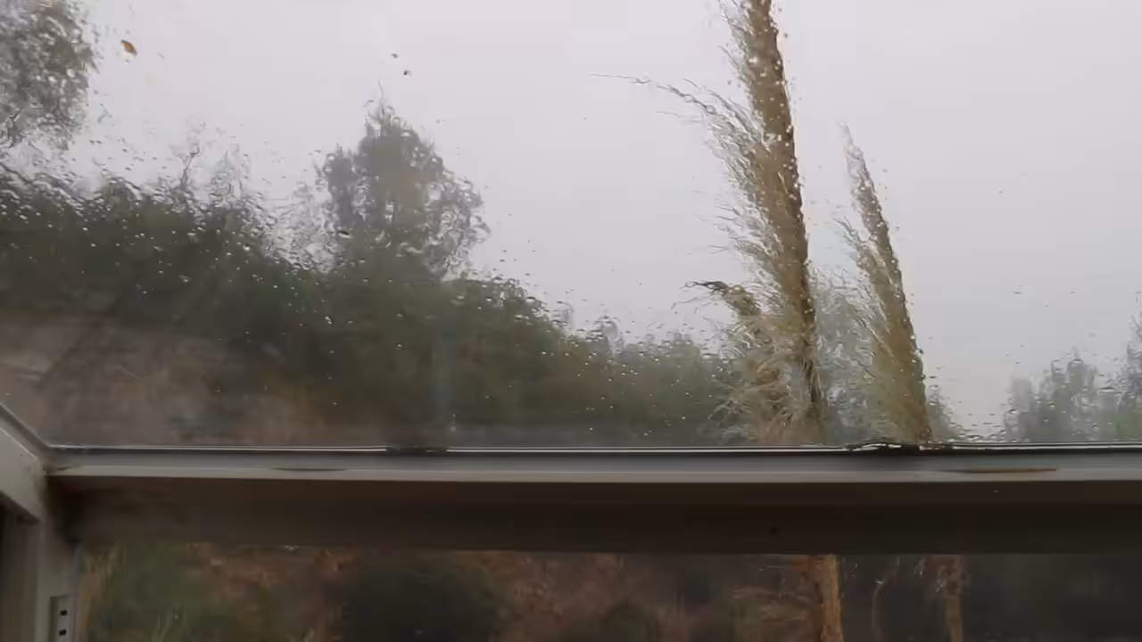 HV#74 not today wind