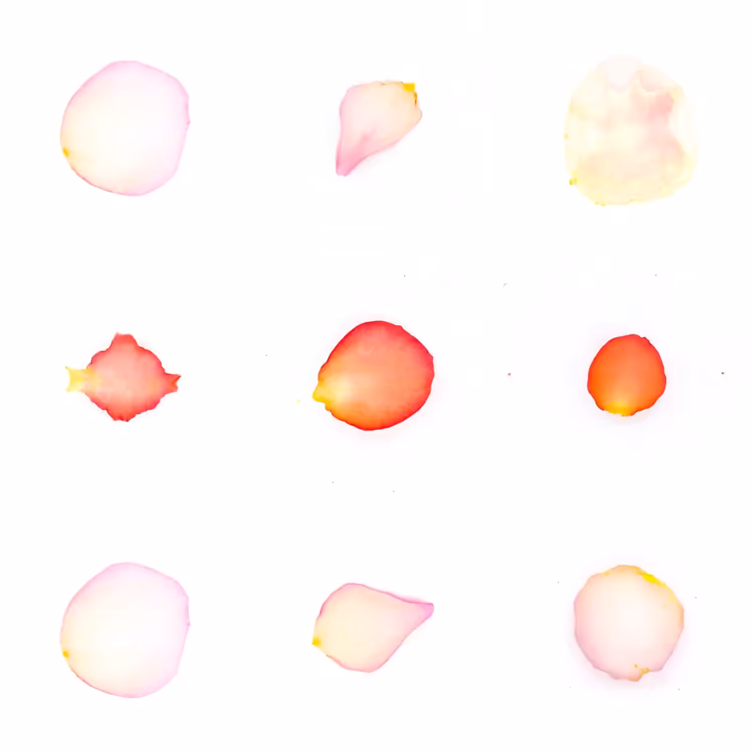 Infinite Petals 3x3#2325