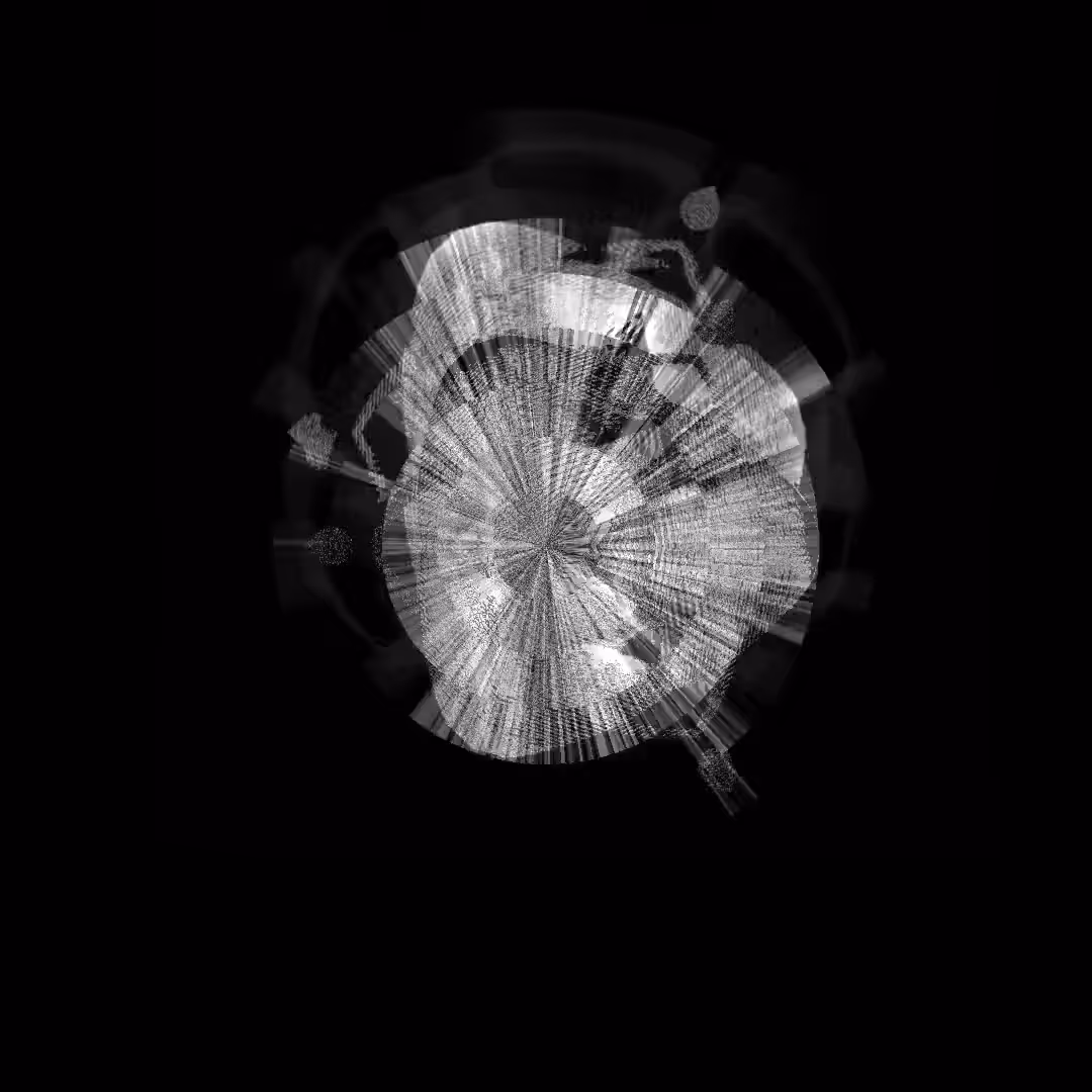 polar orbital disco