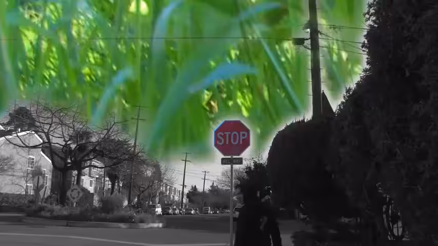 Song A DAO: Please Stop | Song A Day #407