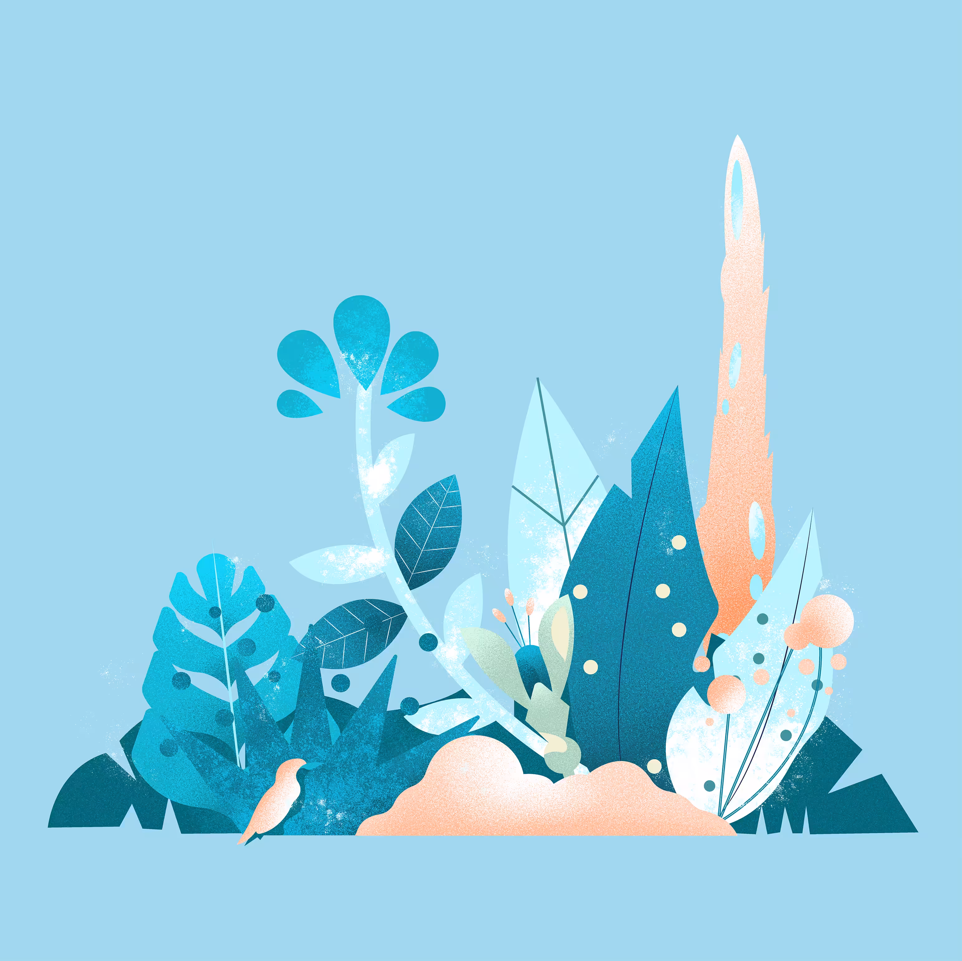 Wild Plants