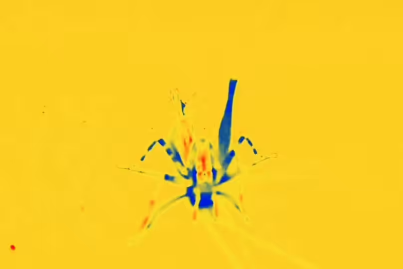 Distributed Brain