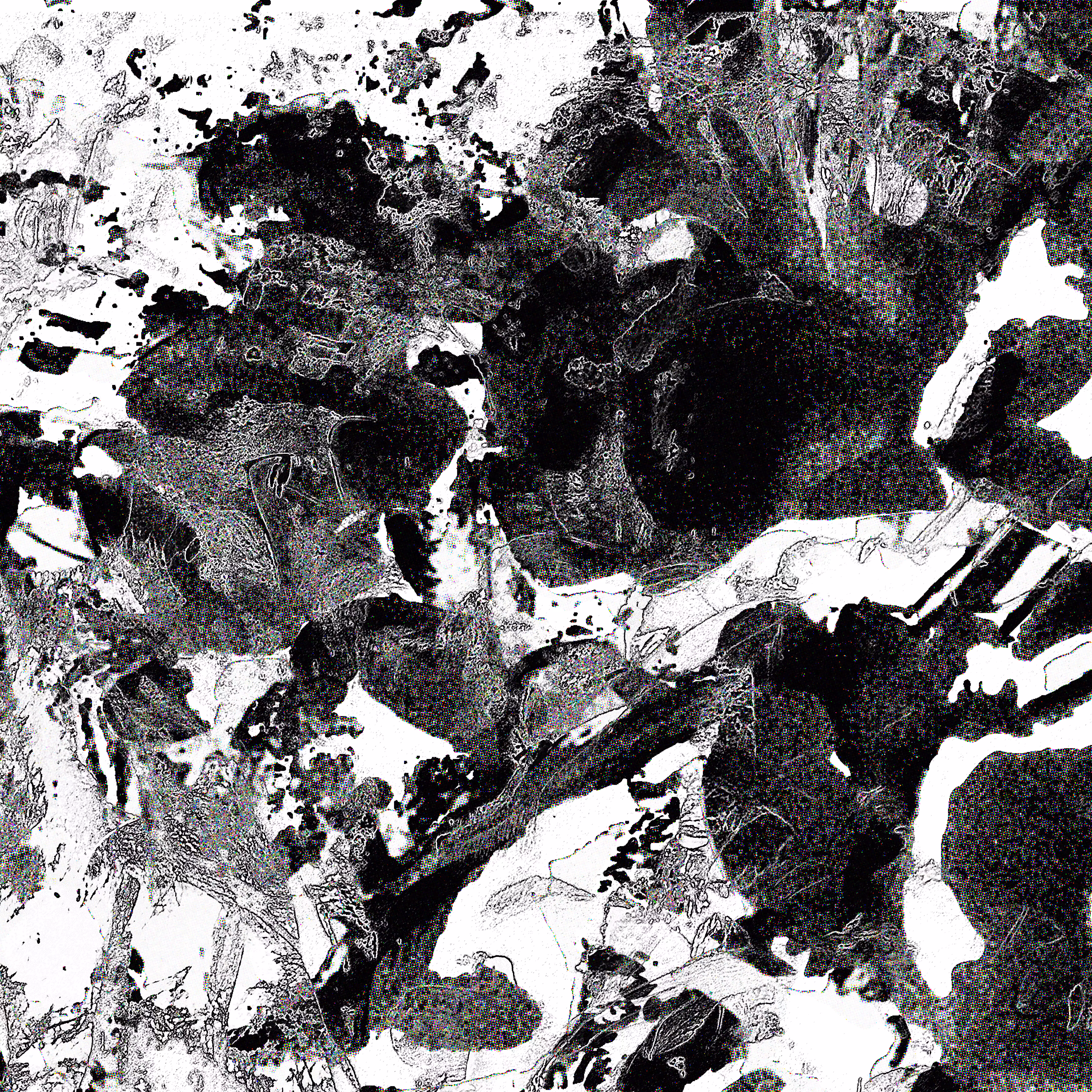 shadow #50