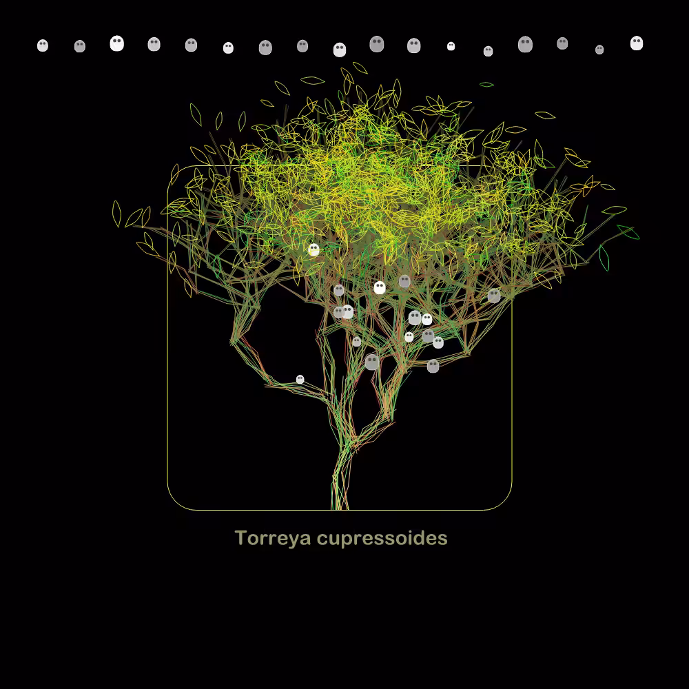 Fluidynamix - Trees #127