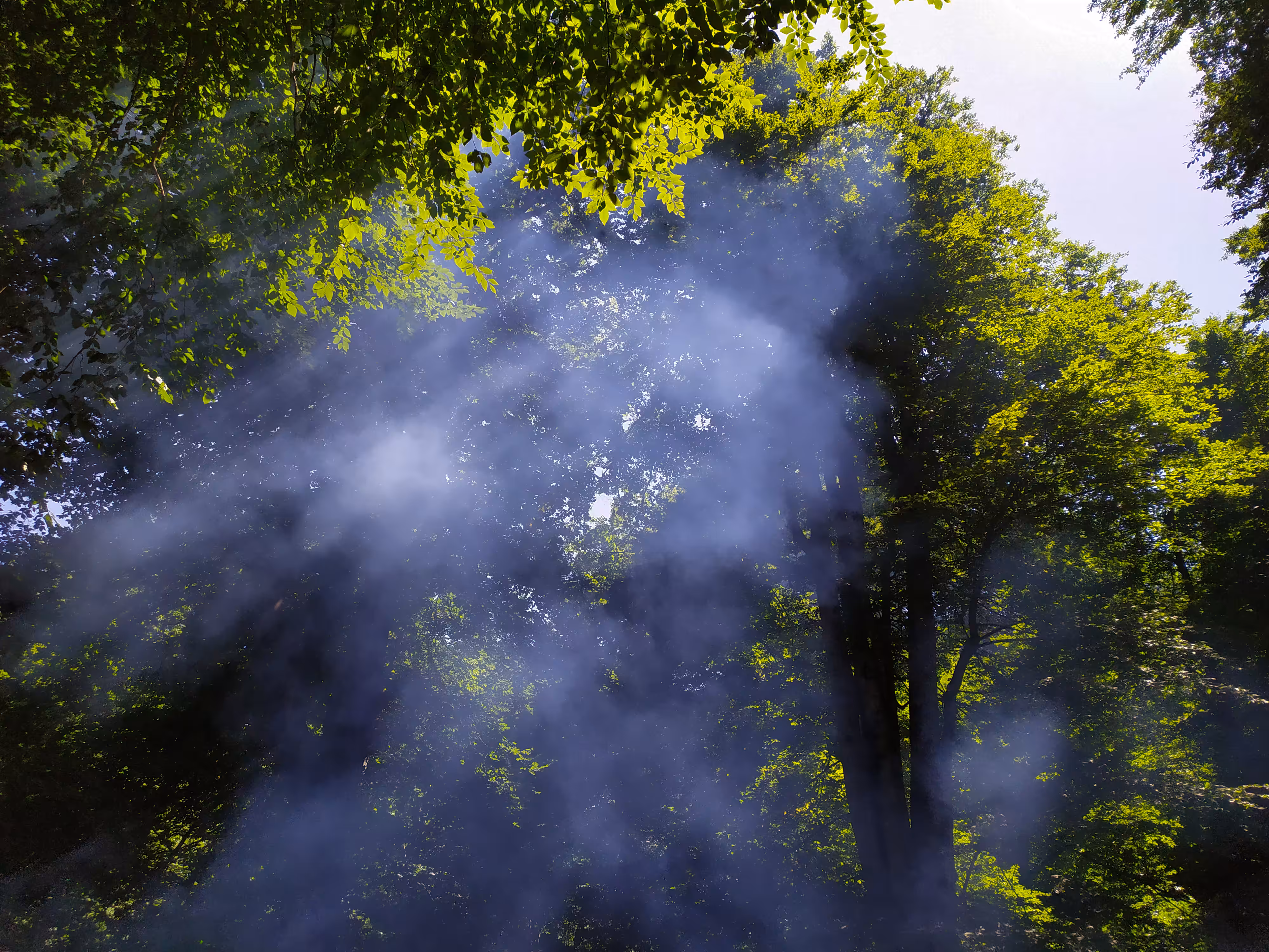 Soul of Nature