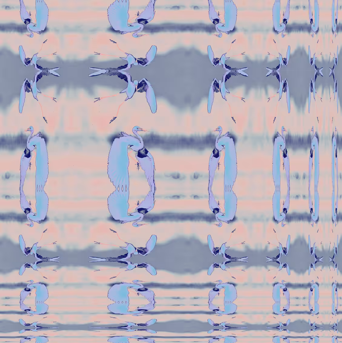 Recursions: Recursive Kōtuku