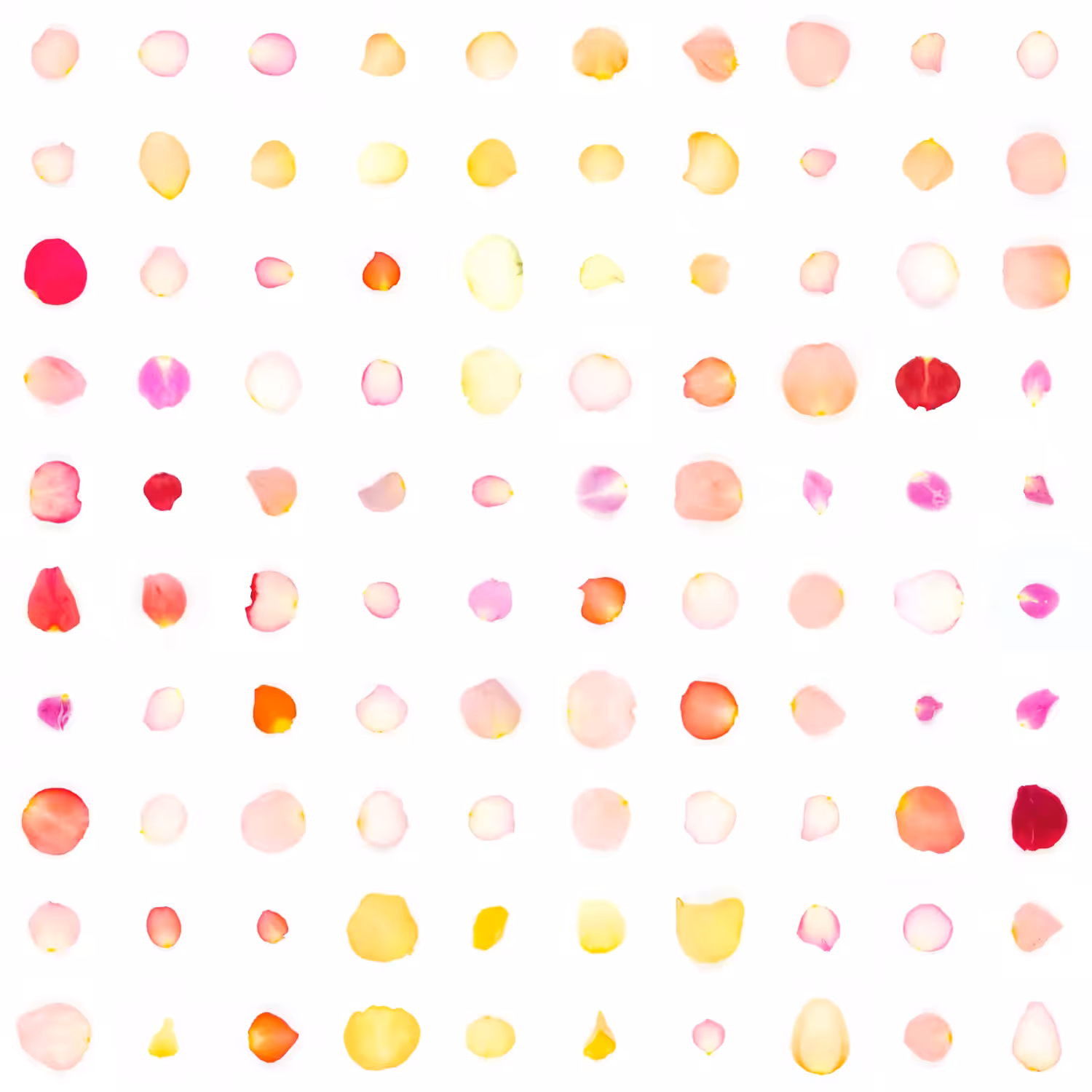 Infinite Petals 10x10#1234