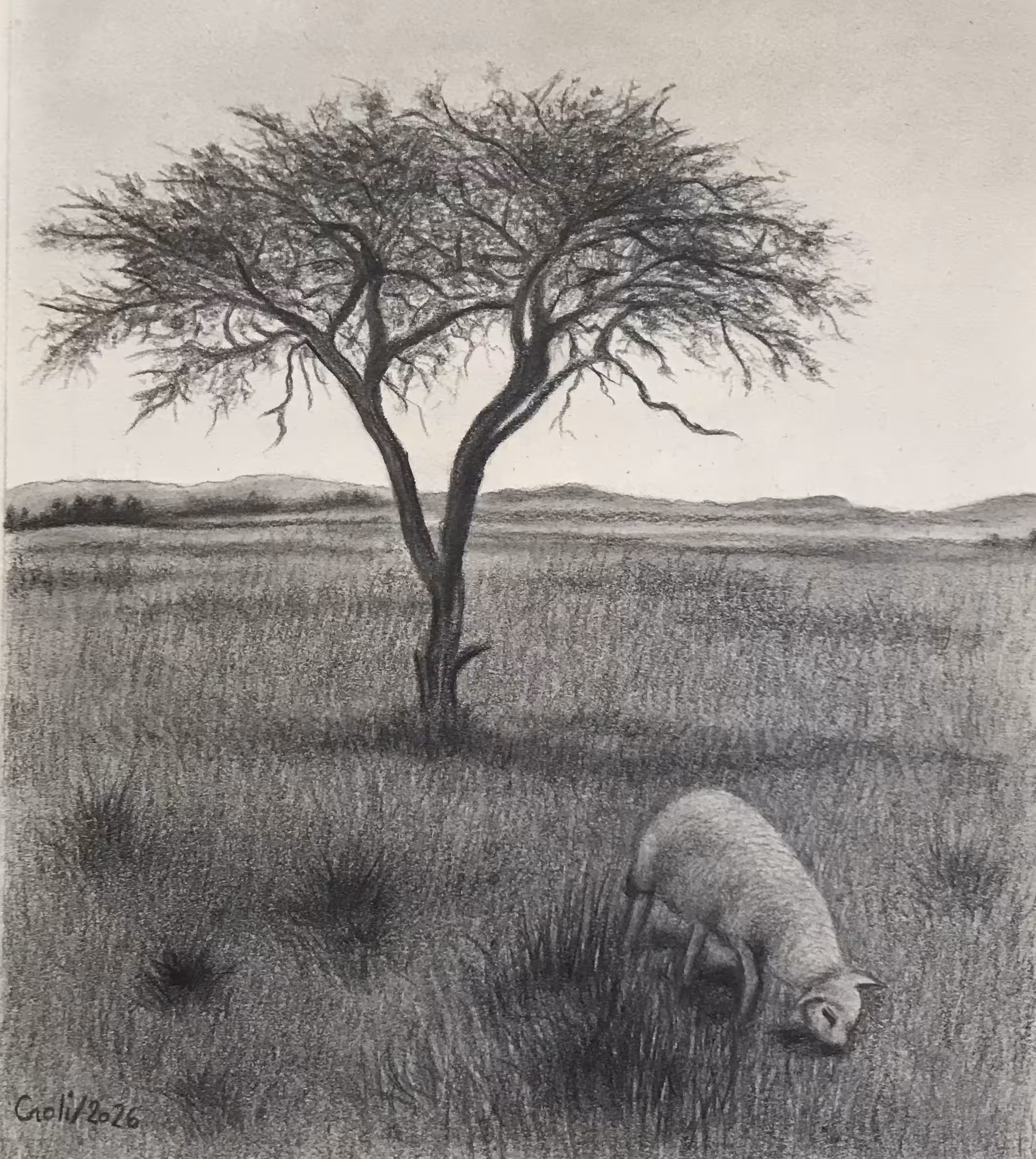 Peace under the Tree