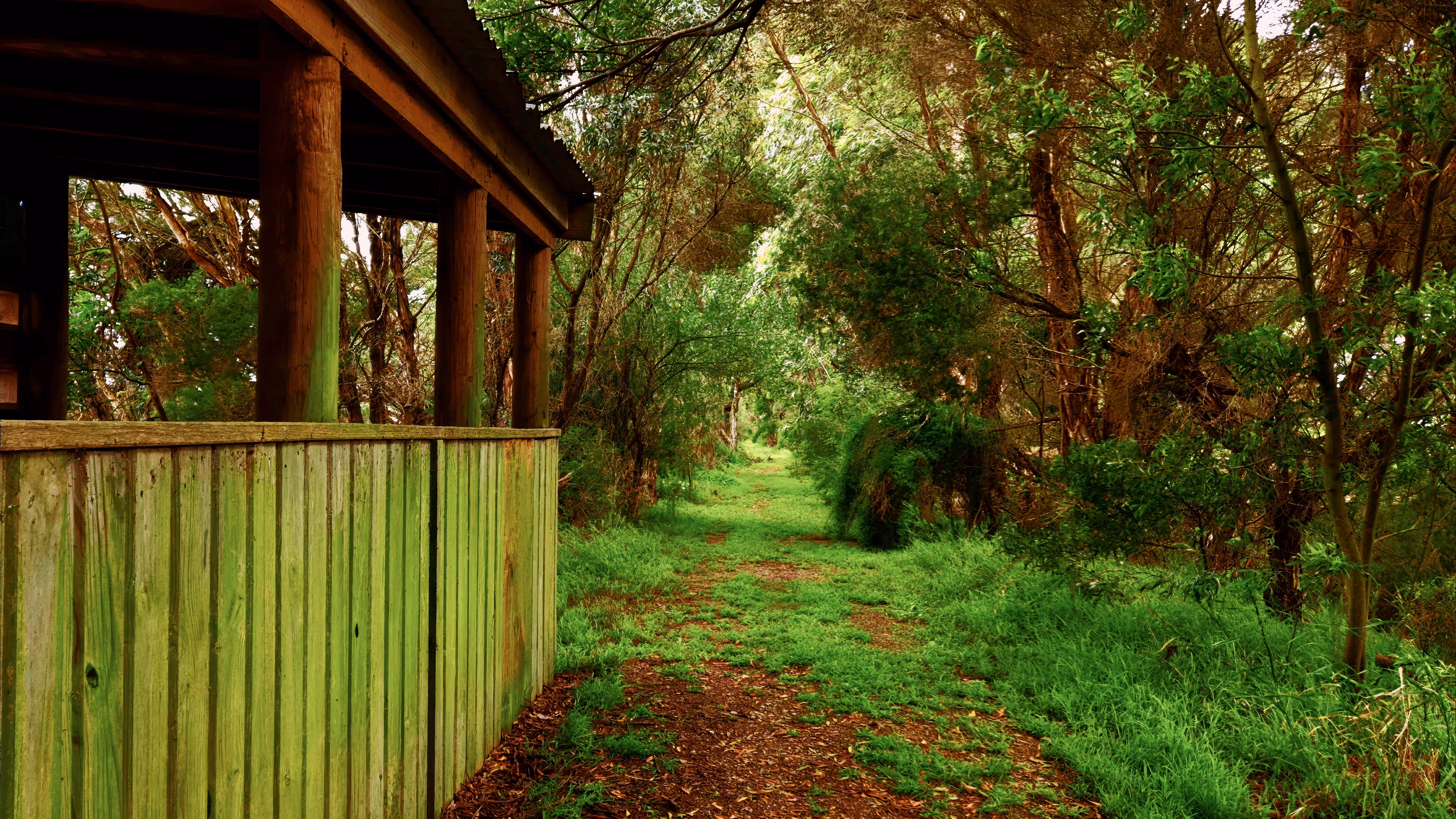 The Hidden Trail