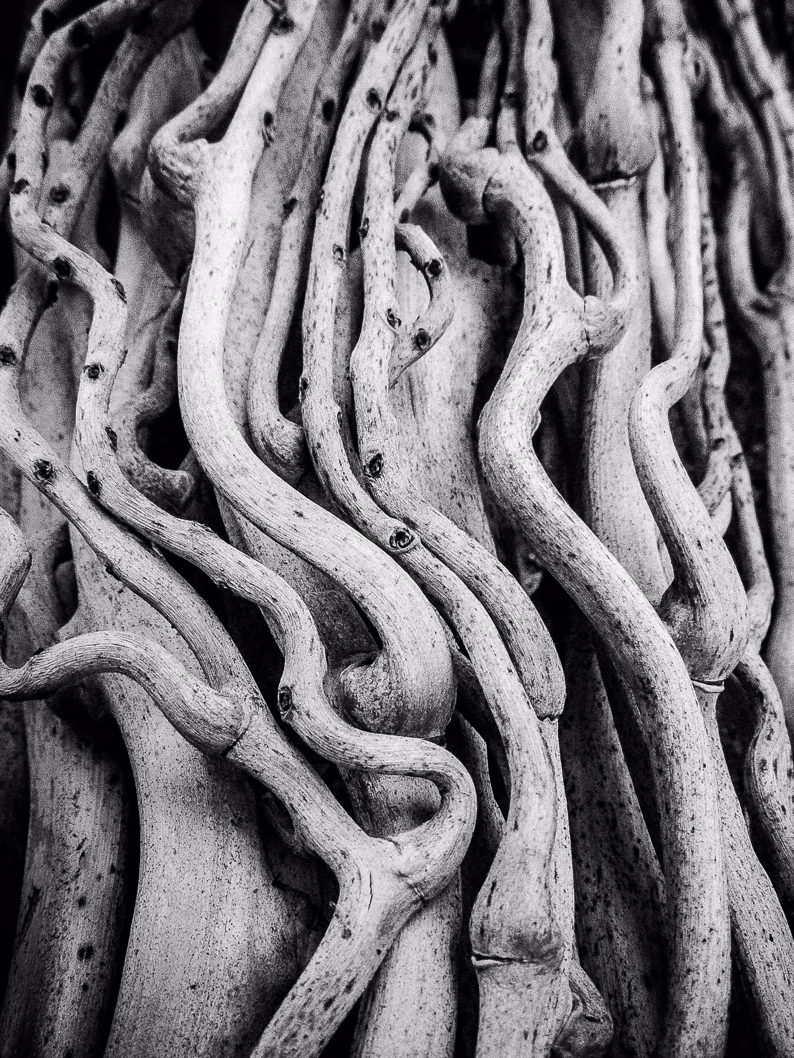 Natural Sinuosity