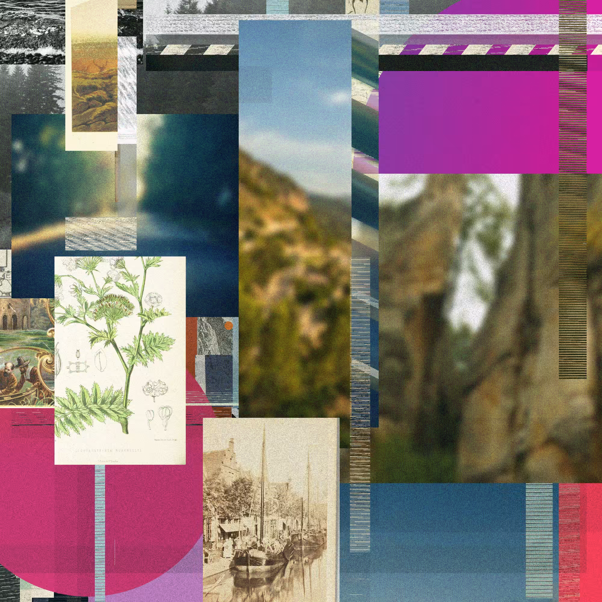 Unconscious Collages #1555