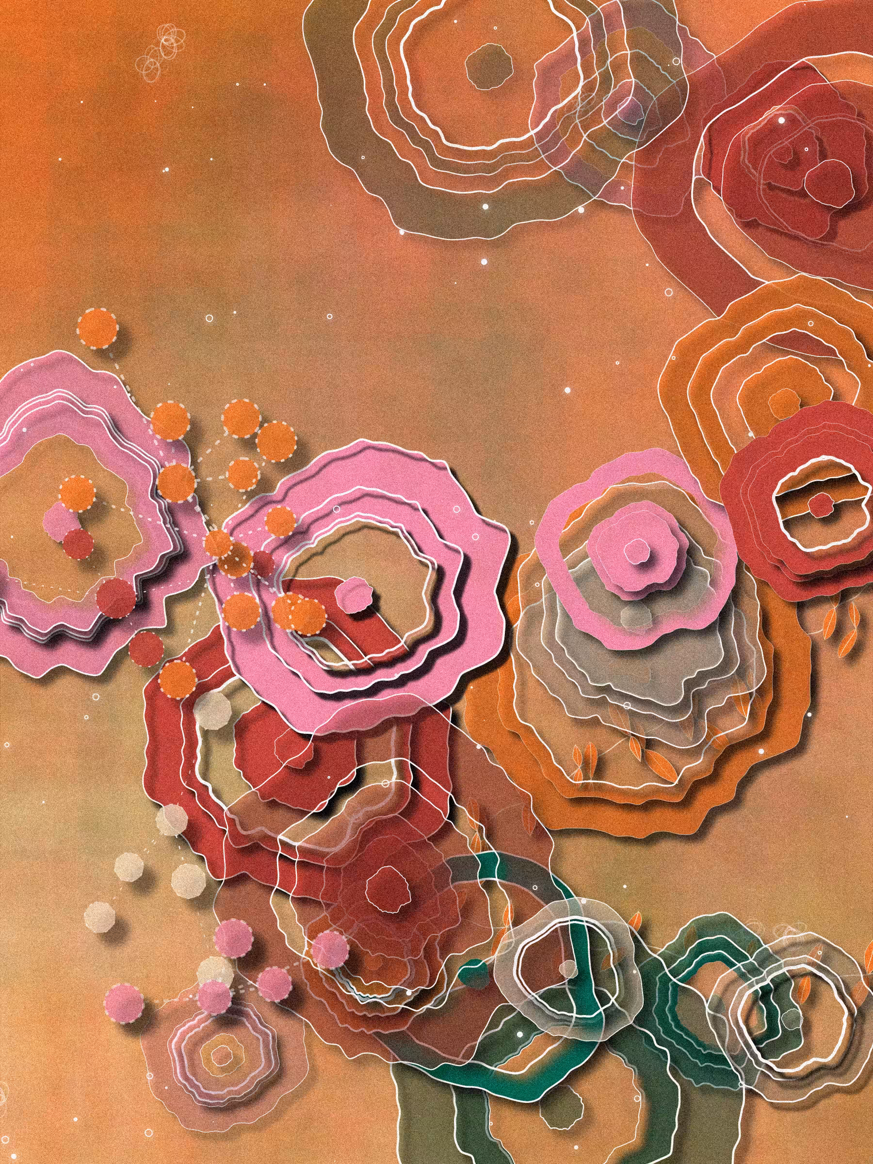 Coral #41