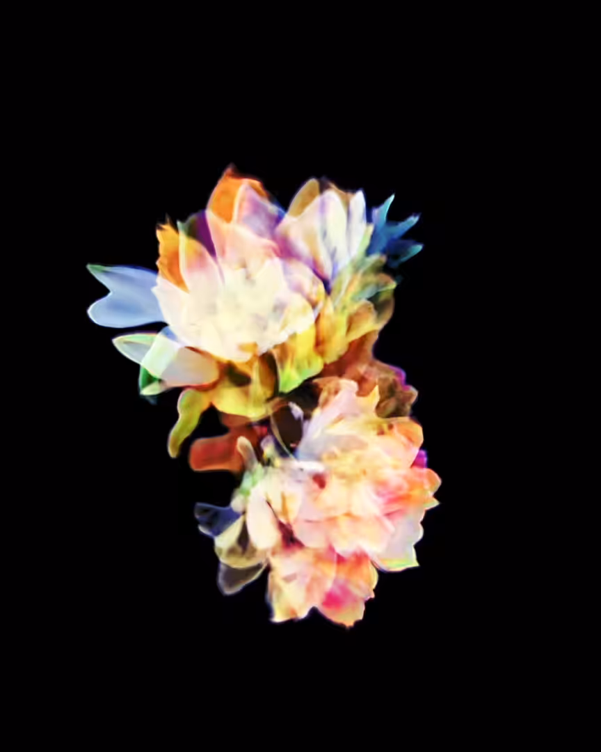 Bloom 05