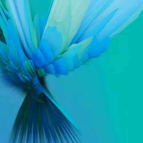 GRAVIZ#13
