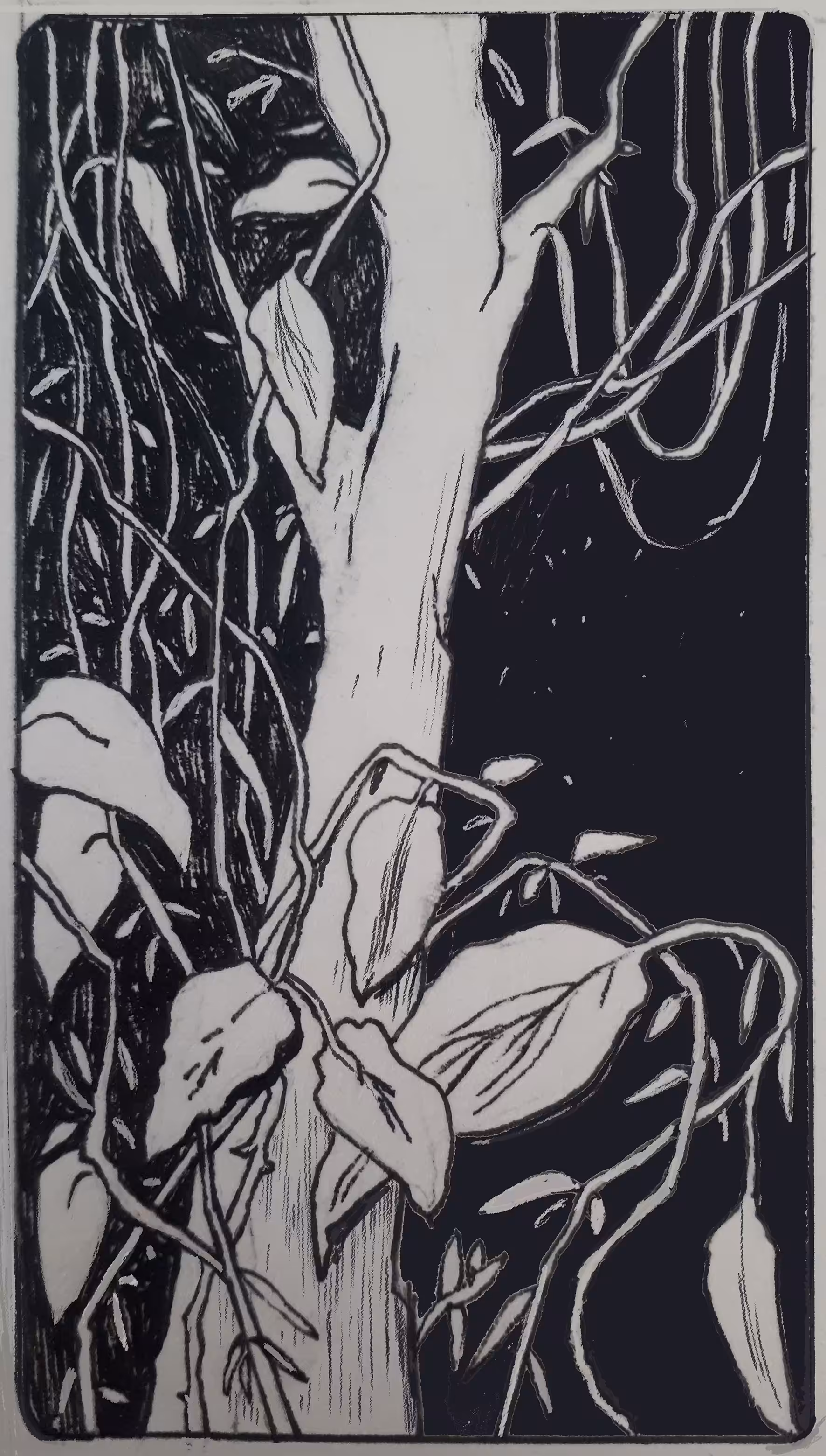 Small Sketch #1