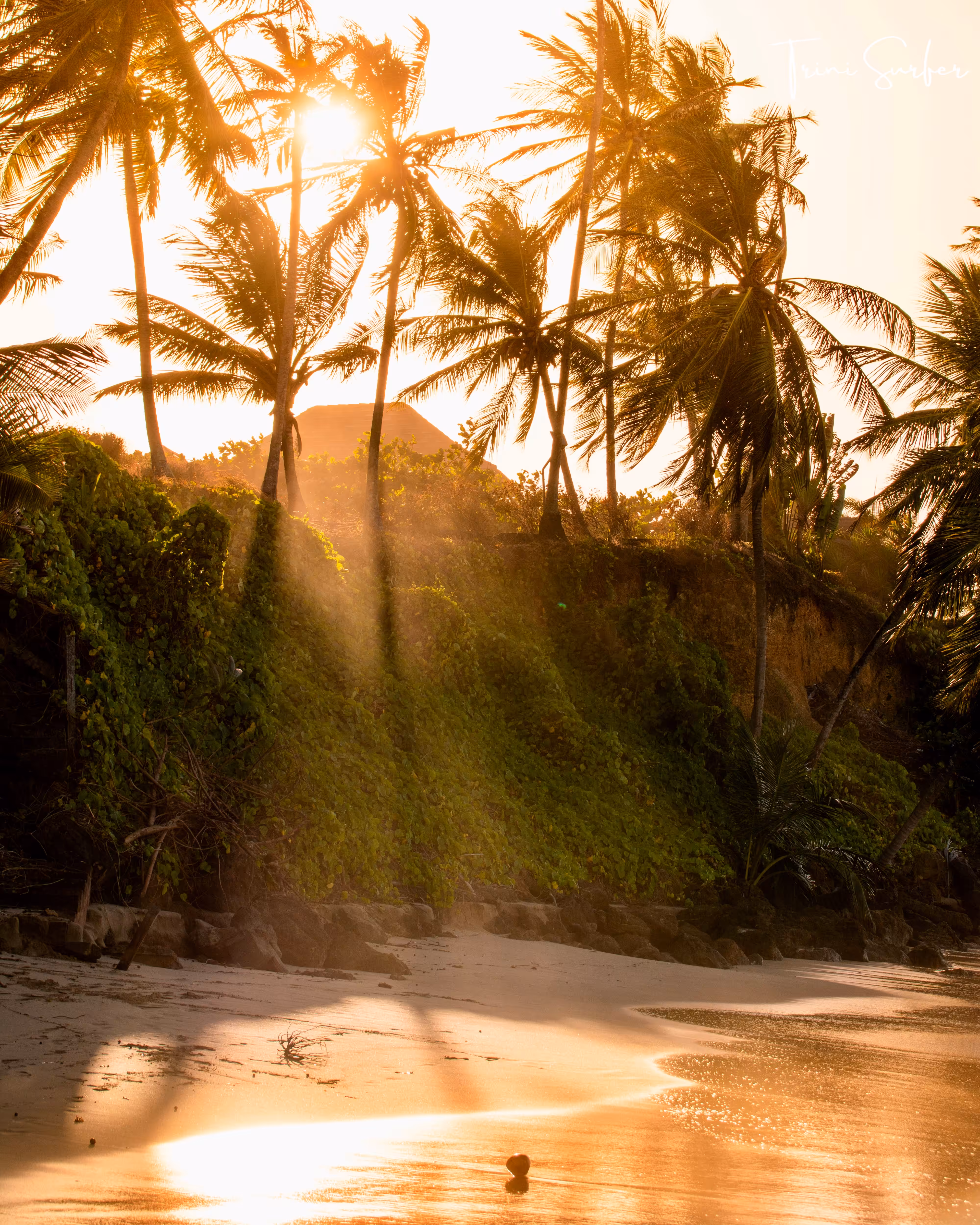 Golden Rays