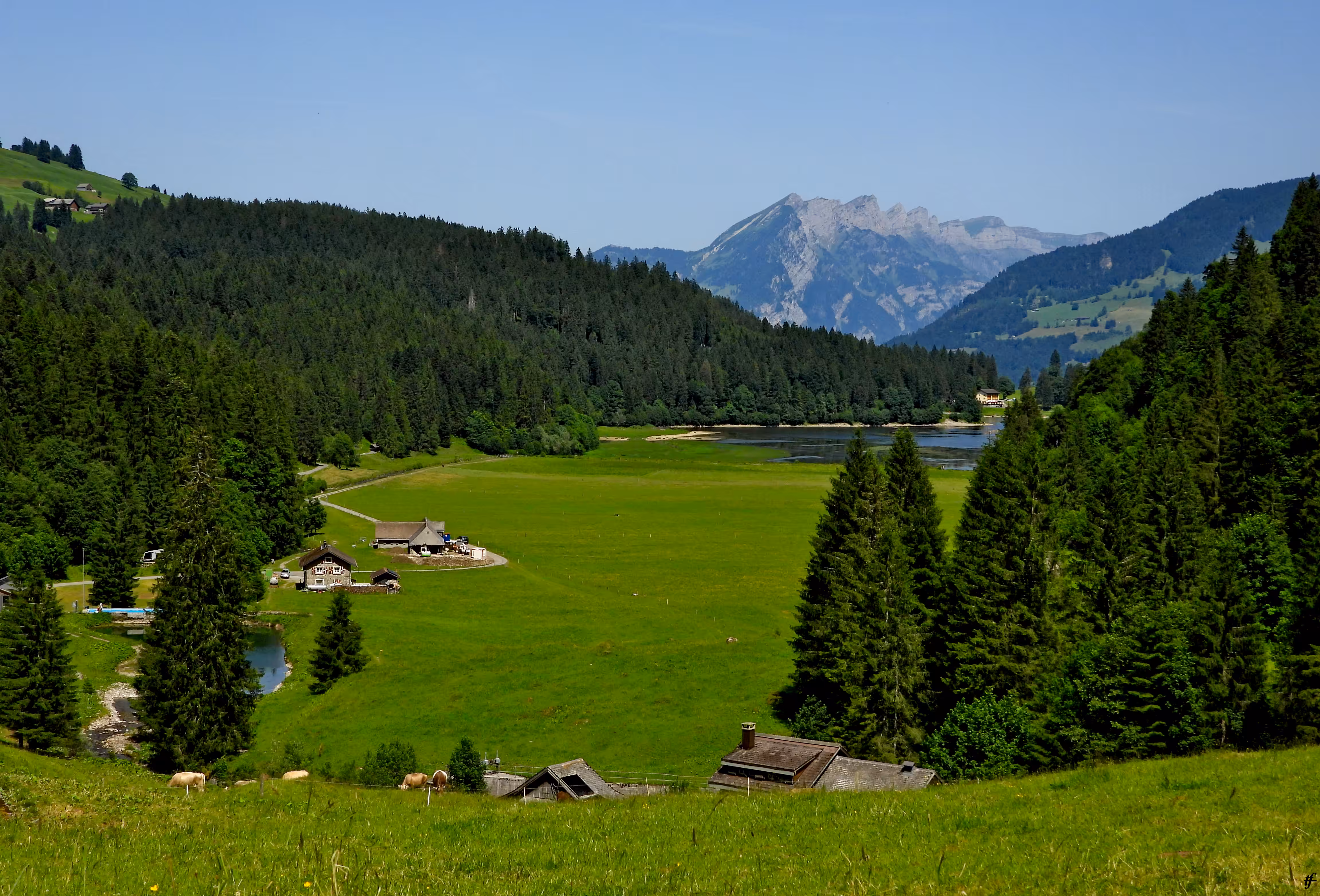 Tom Flender Photo Collection 2024 to 2026: Obersee with Churfirsten Mountain Range