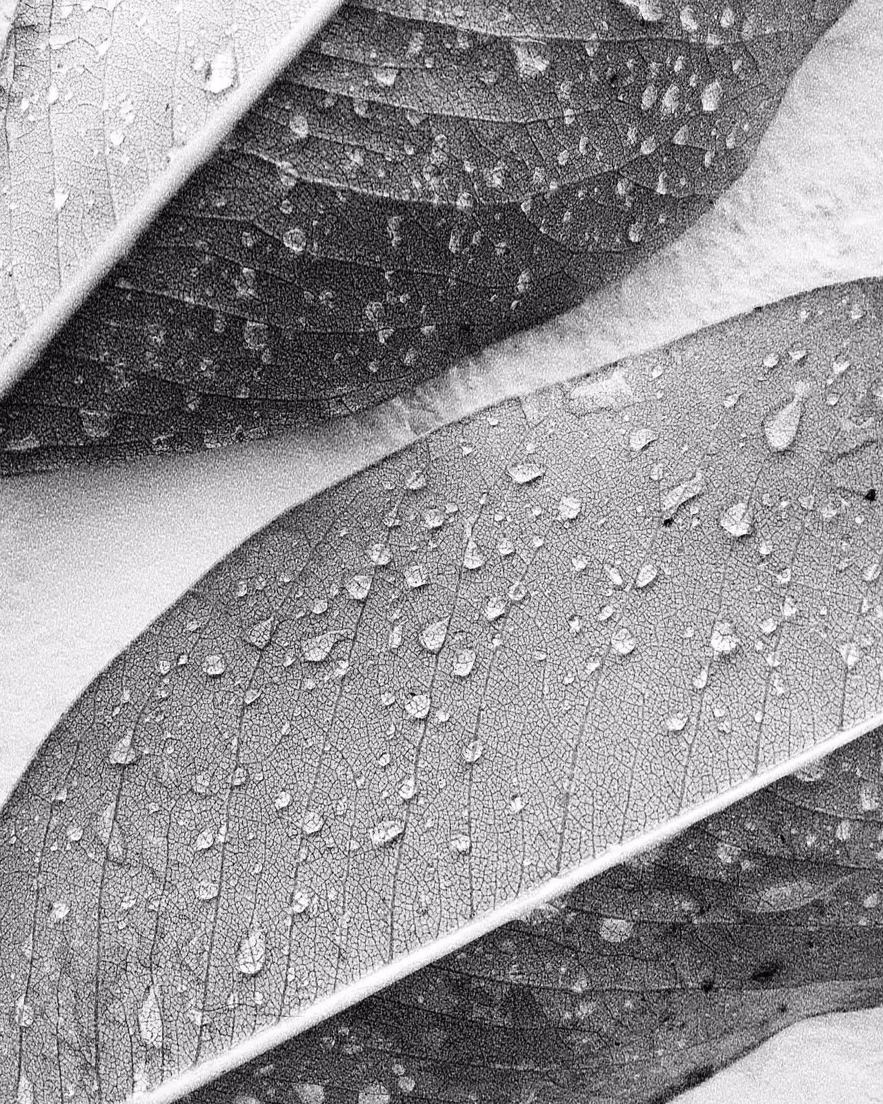 Tempo chuva 