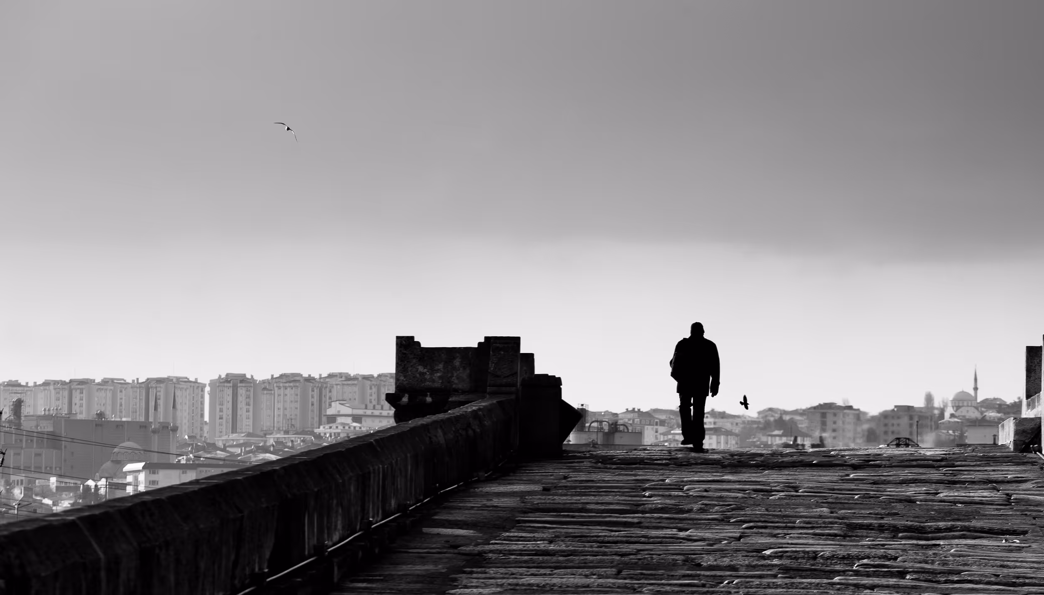 Crossing the Bridge...