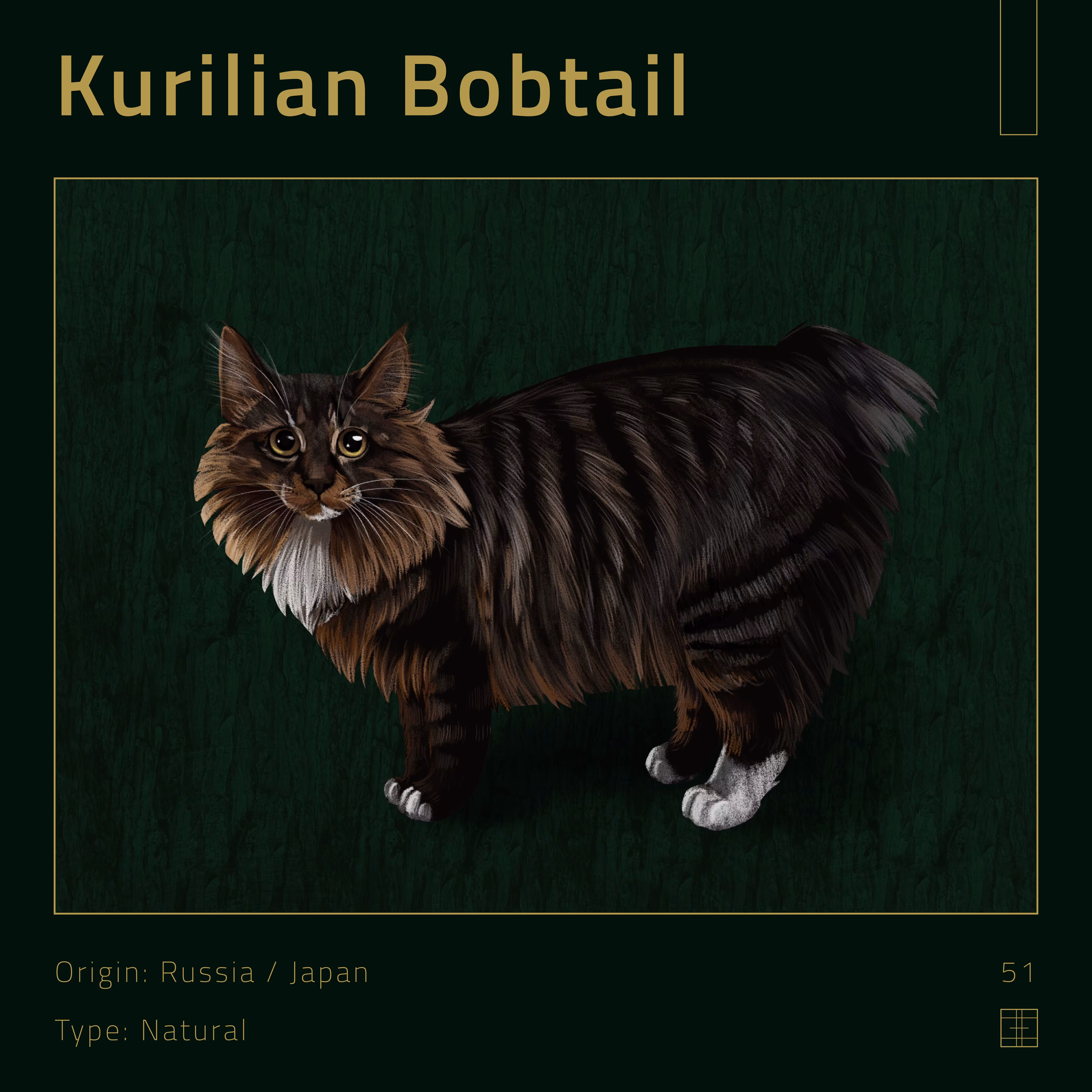 51 – Kurilian Bobtail