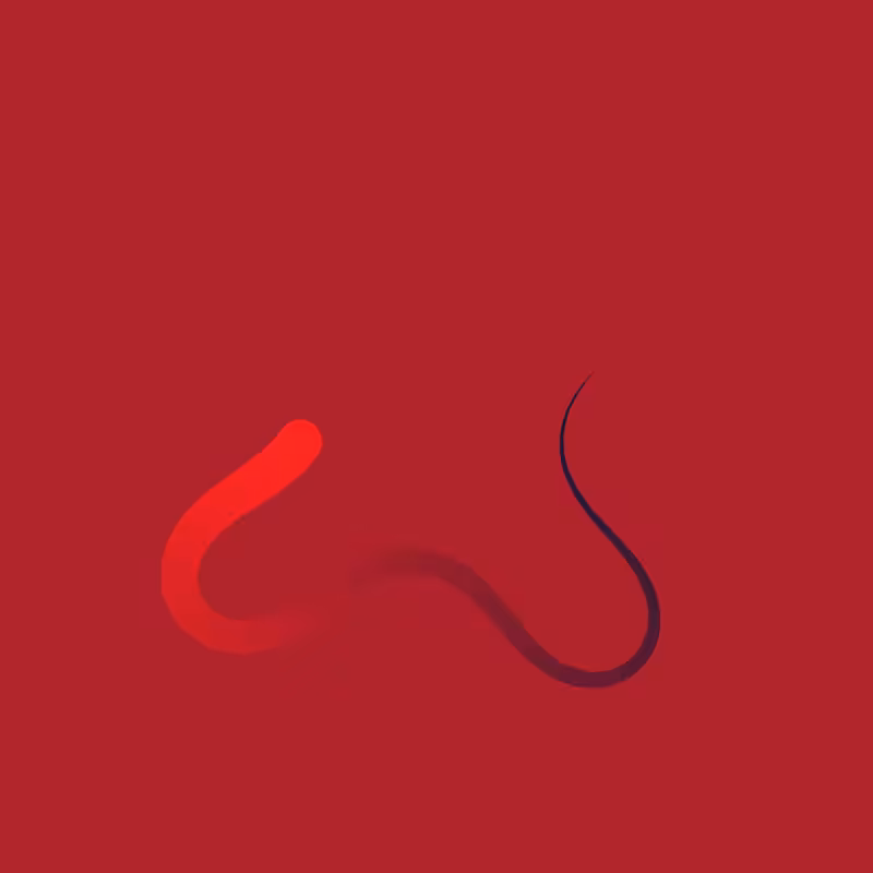 Curvature Movements #2