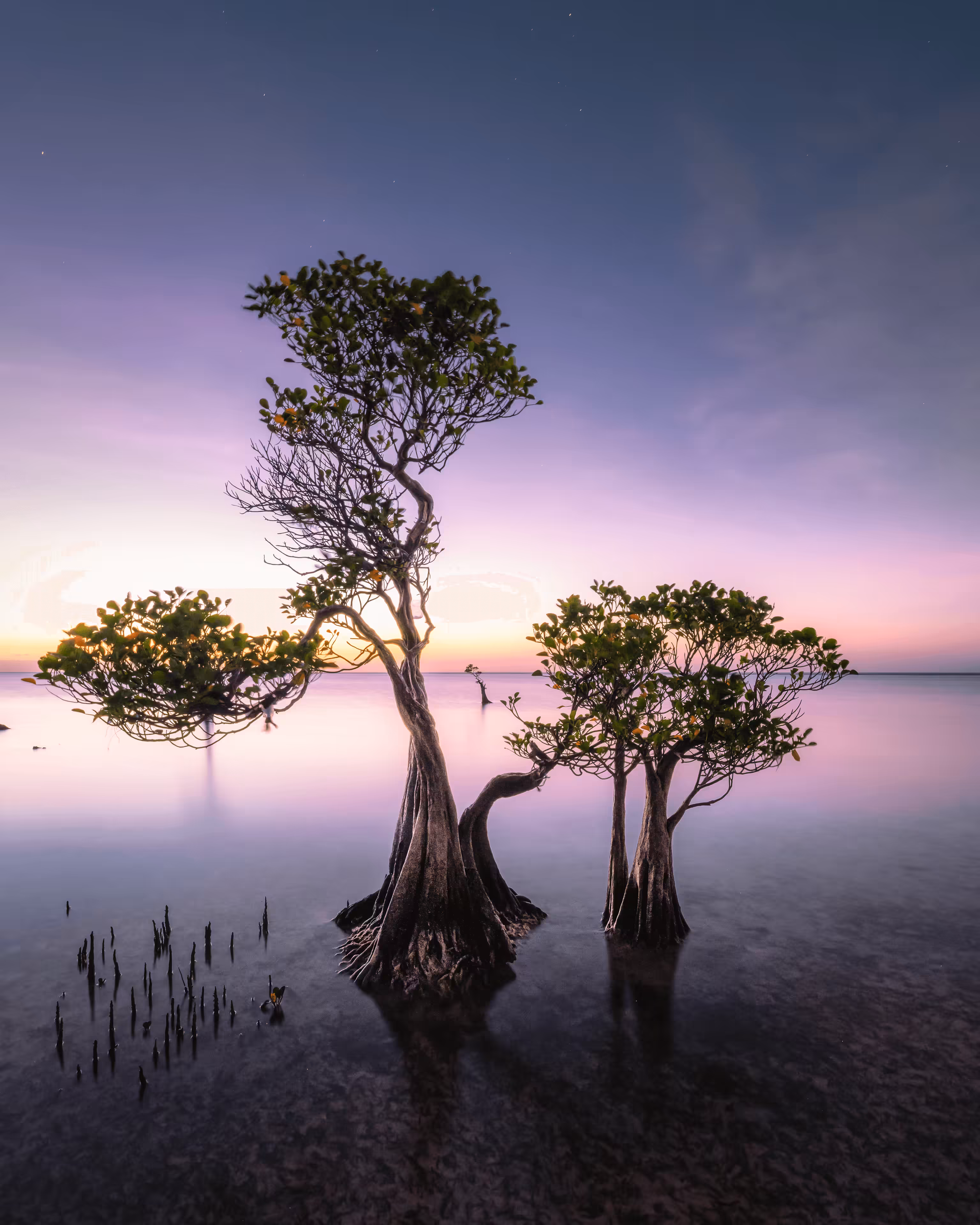 Luminescence - #20 In the Water -Sumba