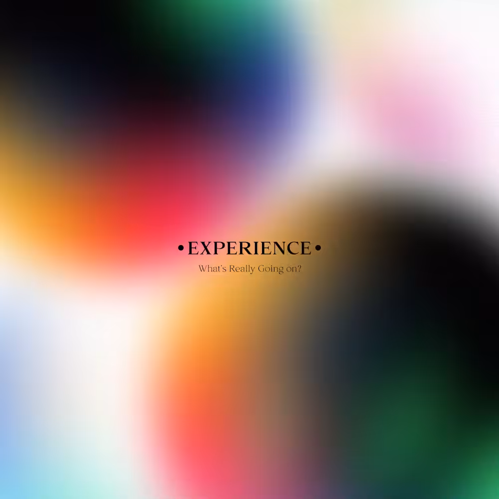 Experience