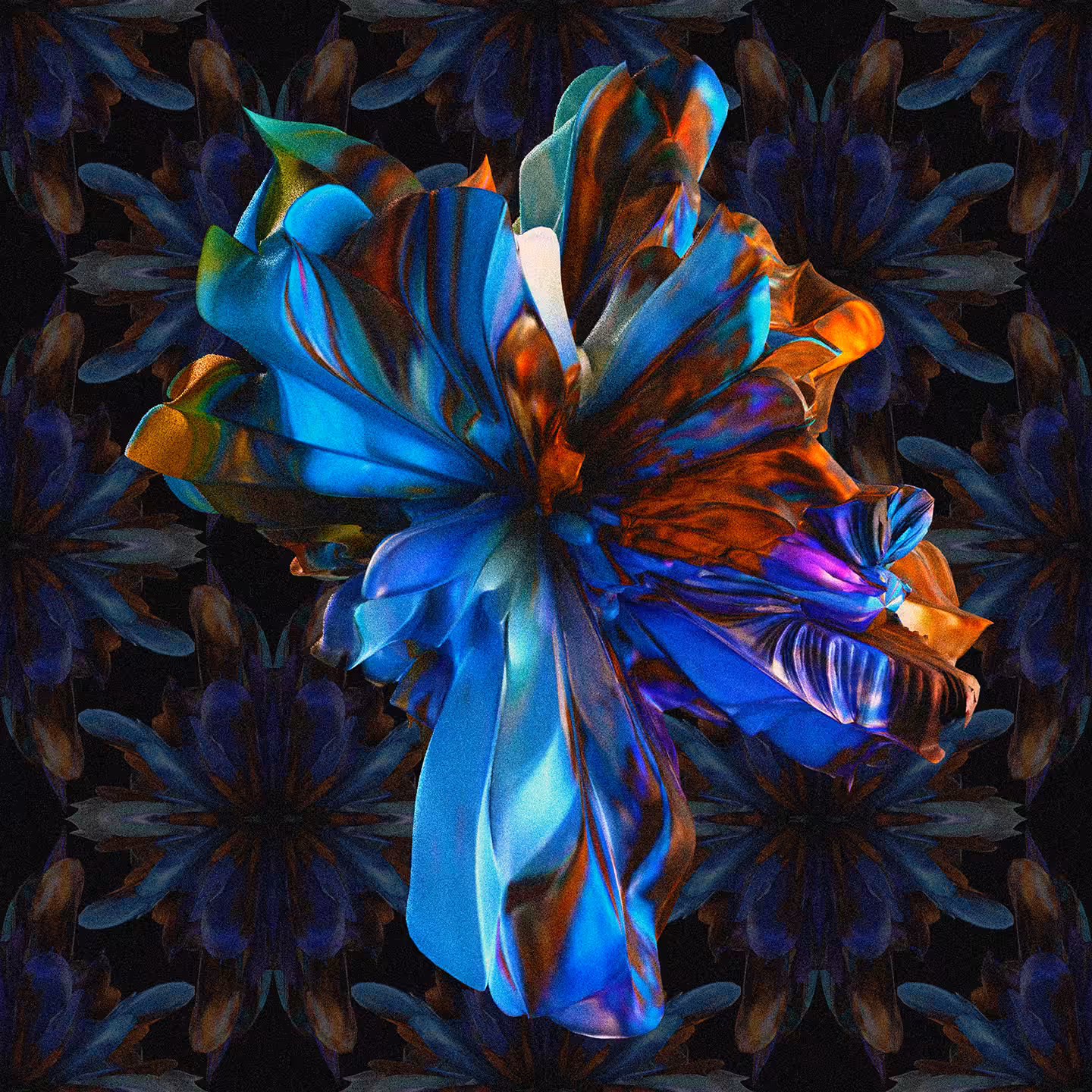 Wallflower 001