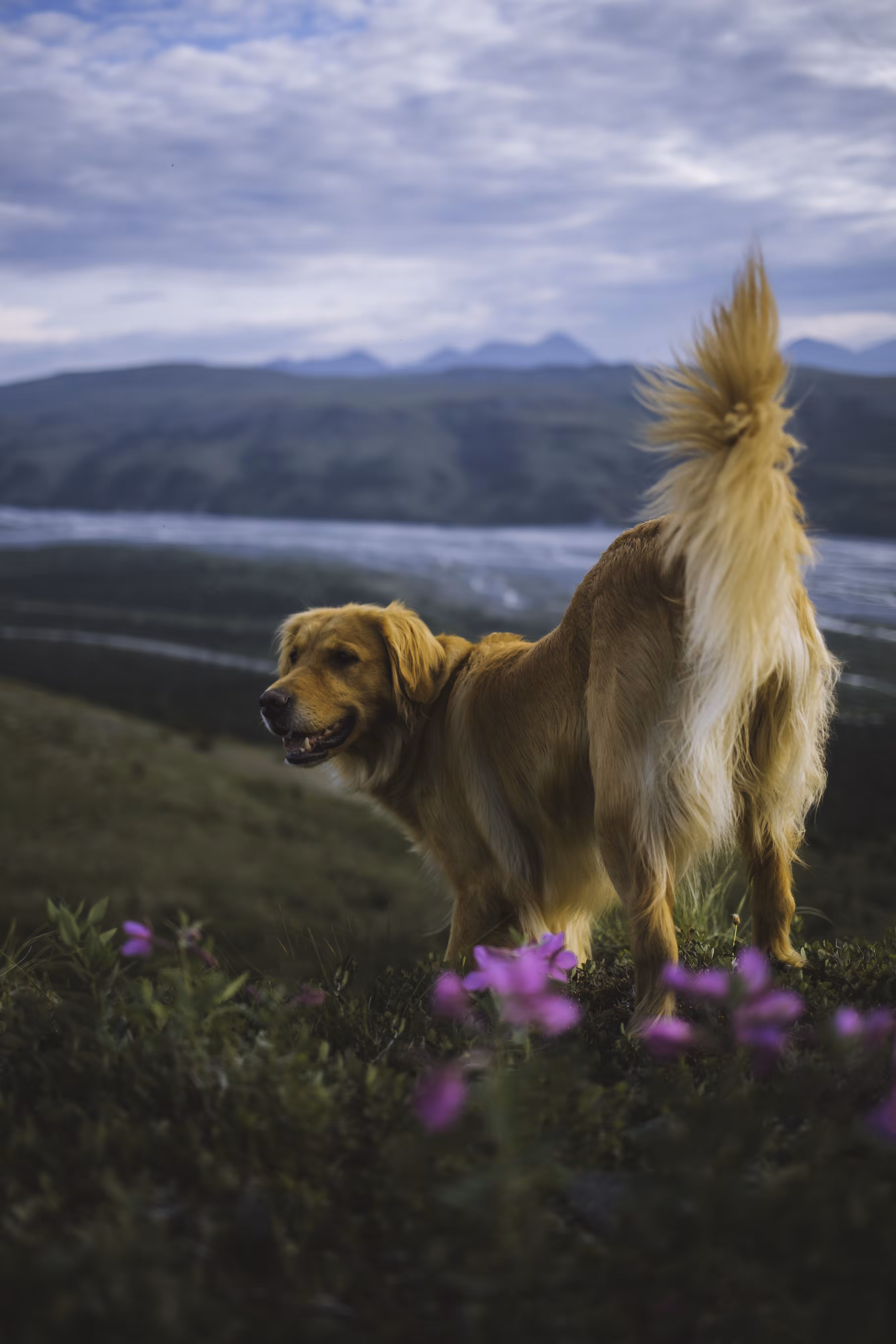 Alaskan Memory