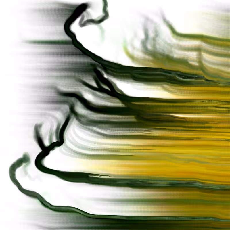 Hypericum #206