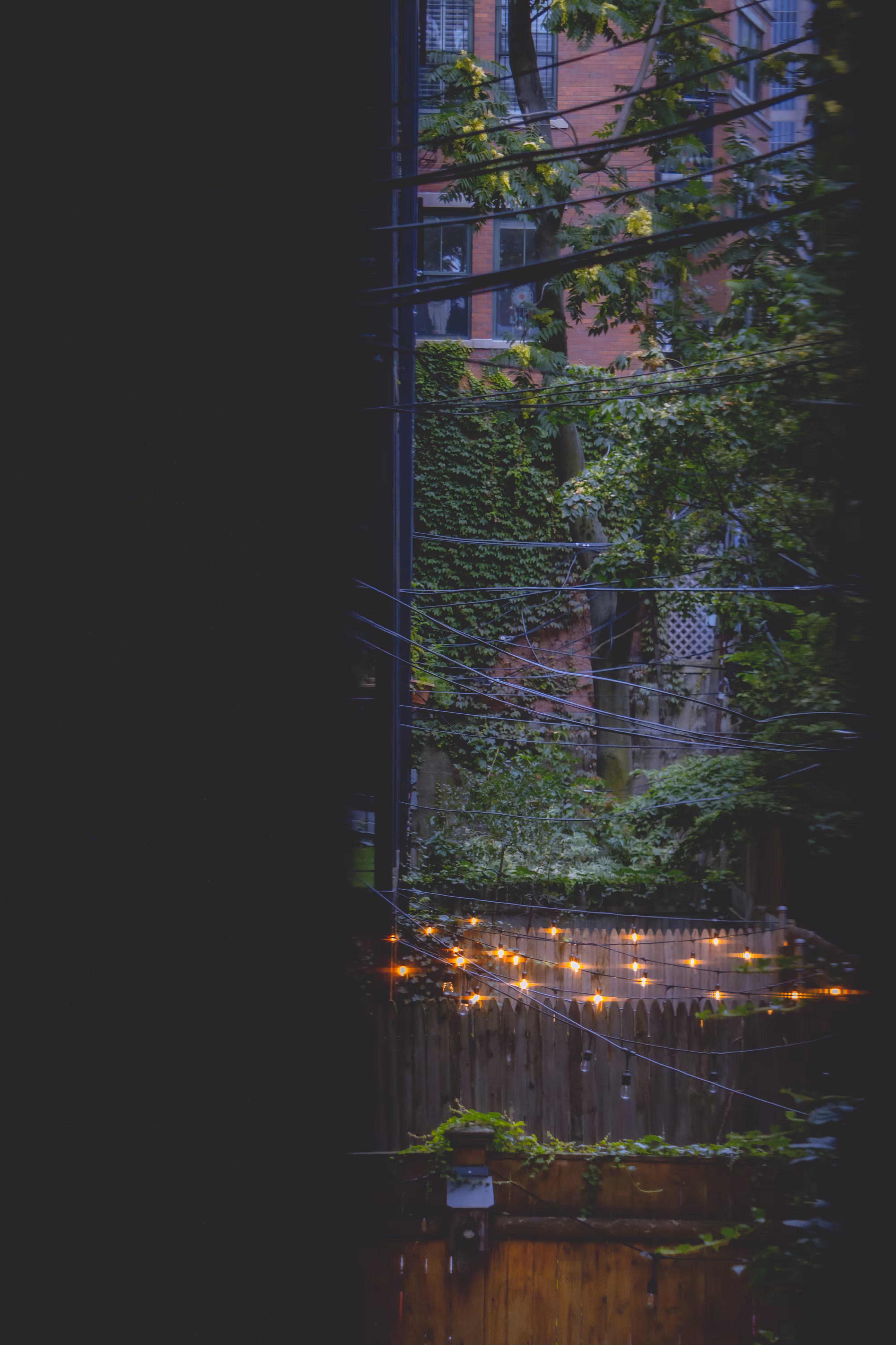 Through the Fence