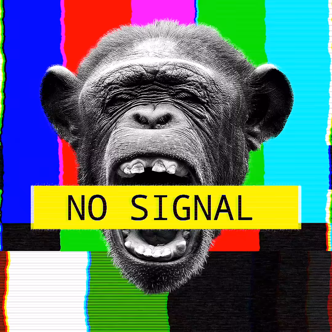 No Signal Exclusive #003