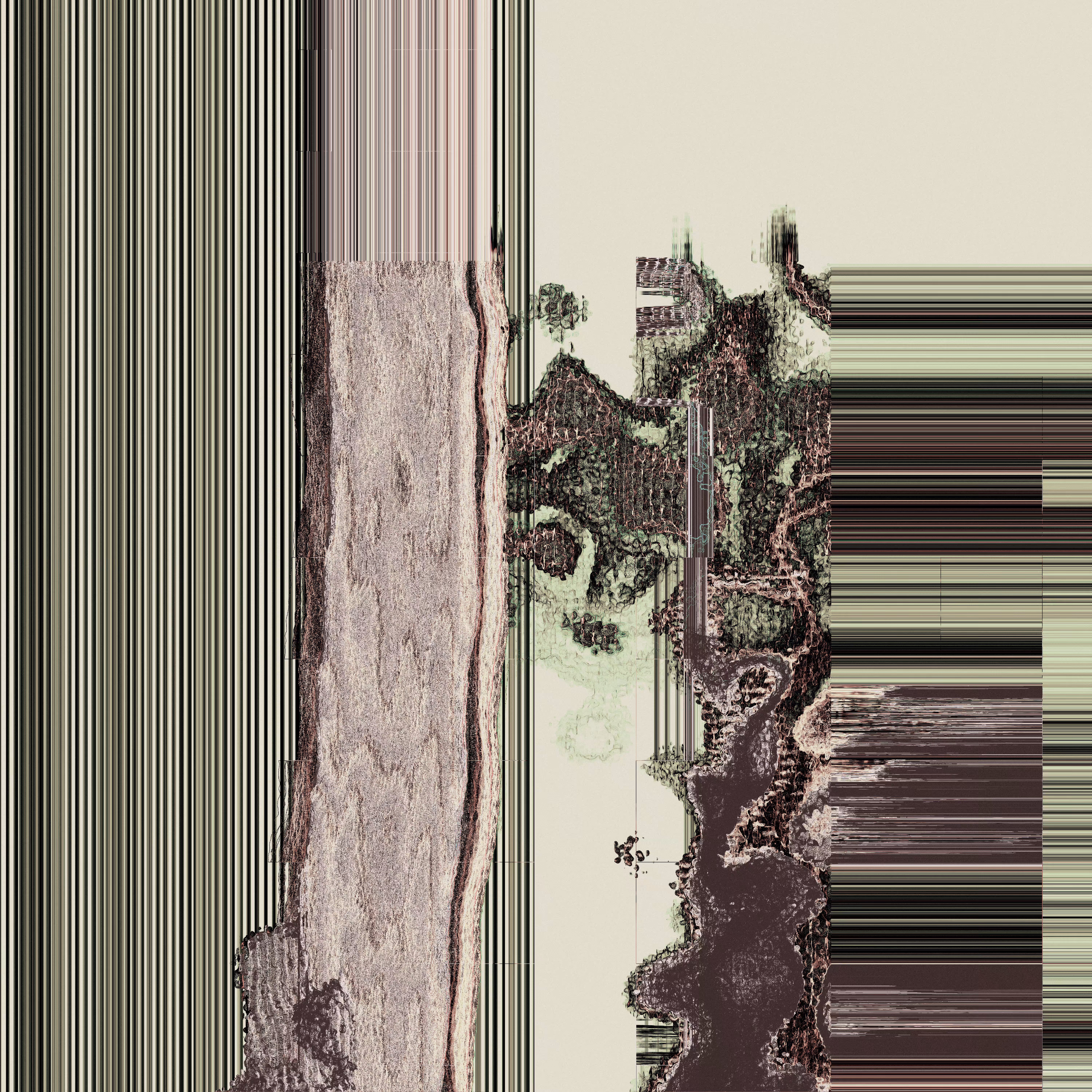 Dig.N.13
