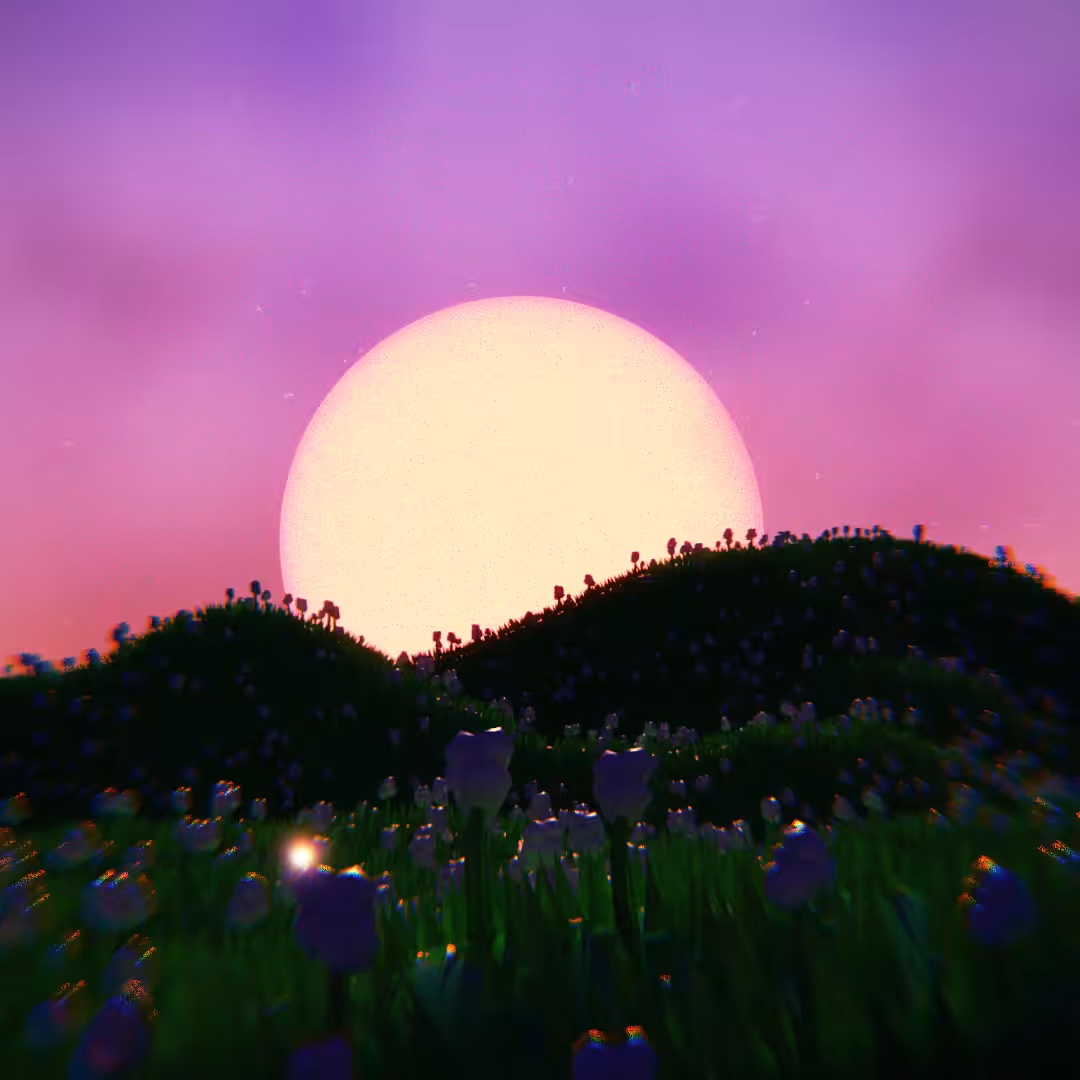 Sunset Flowerfields