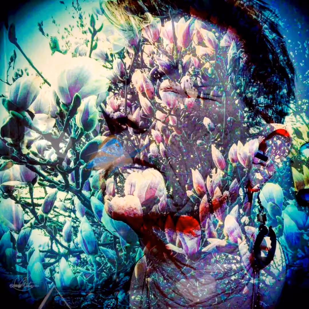 Spring Evermore