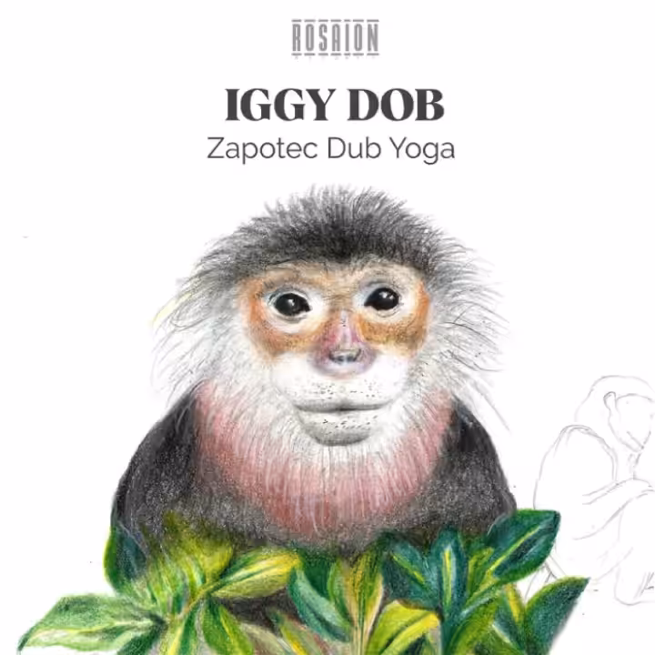 Iggy Dob - Clouds Drums